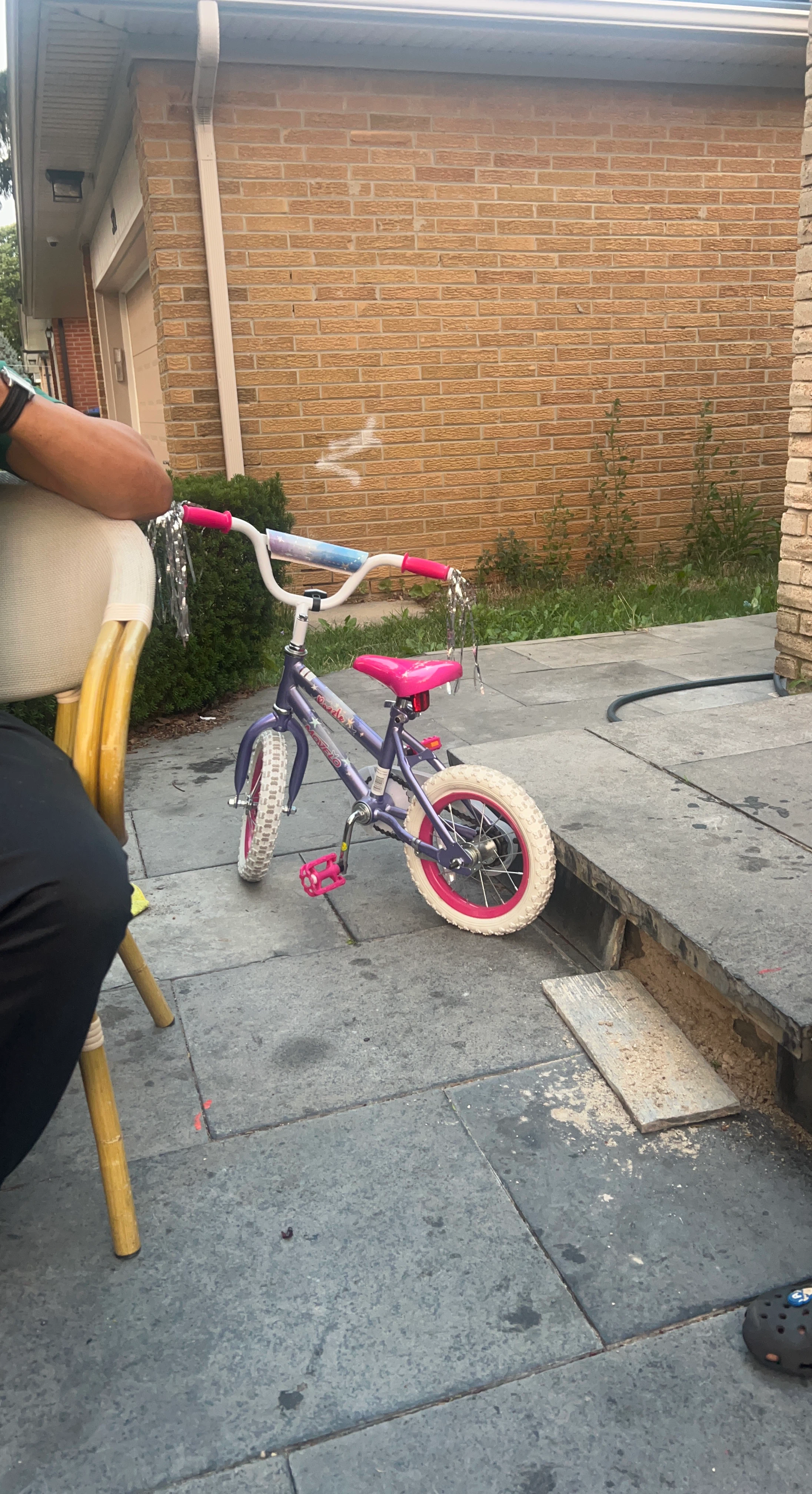 Purple & Pink Kids Bicycle