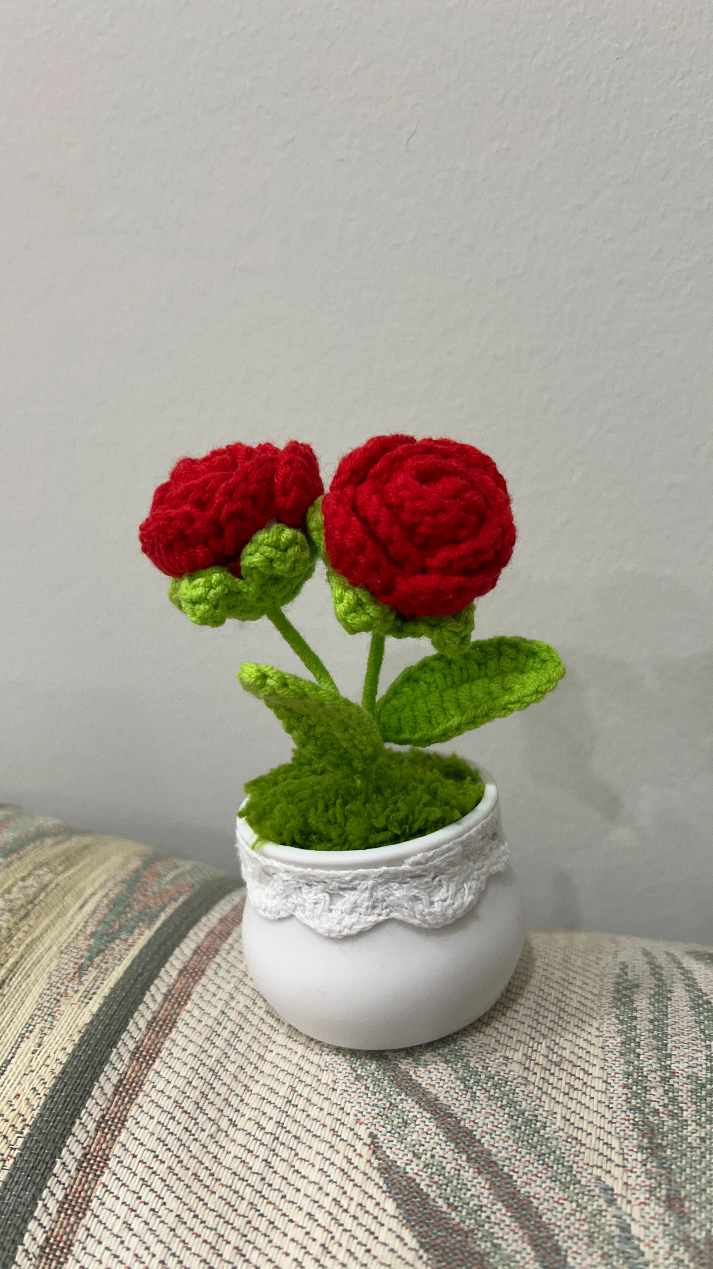 Crocheted Plants in White Pot