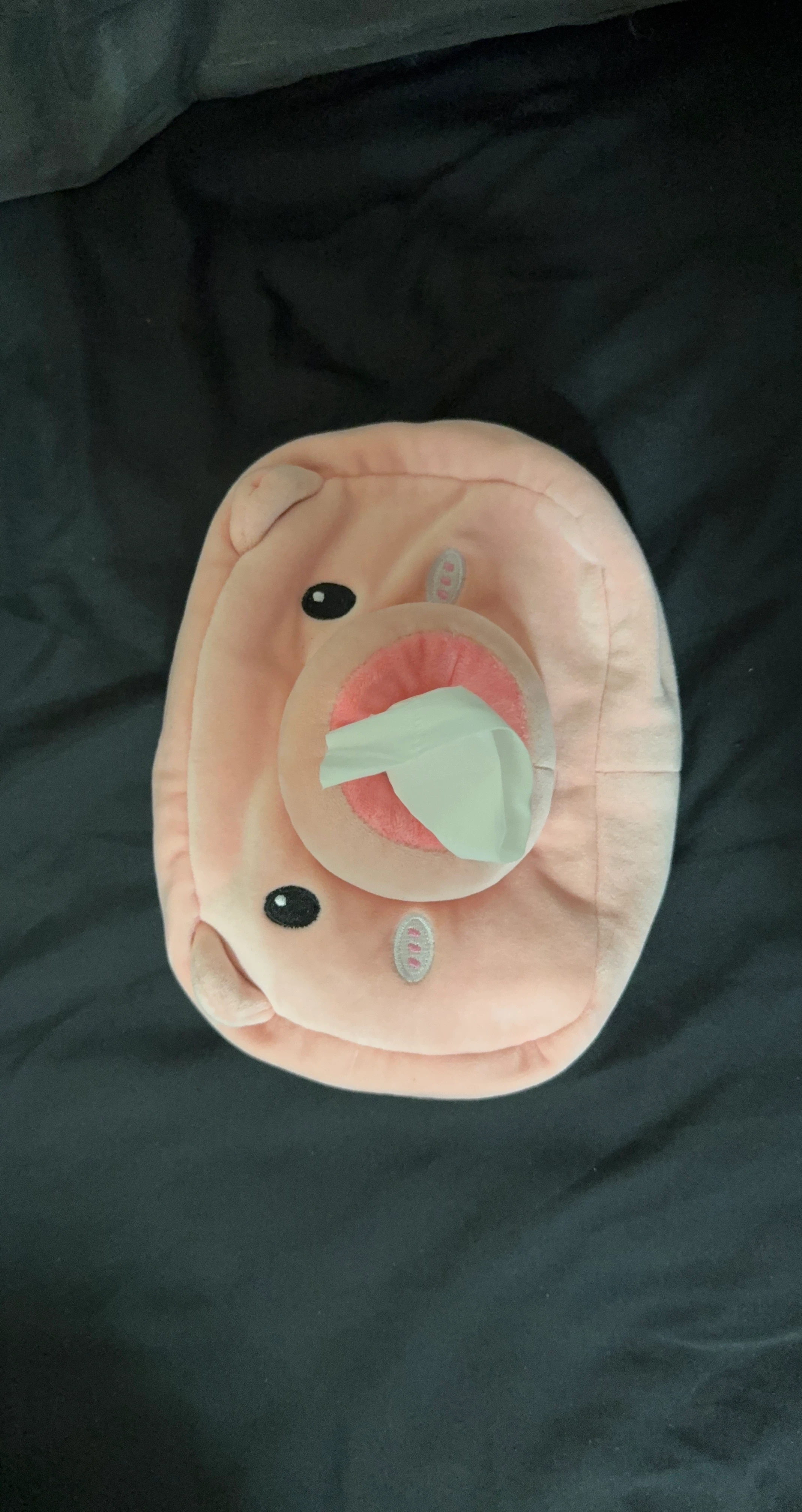 Plush Pig Tissue Holder