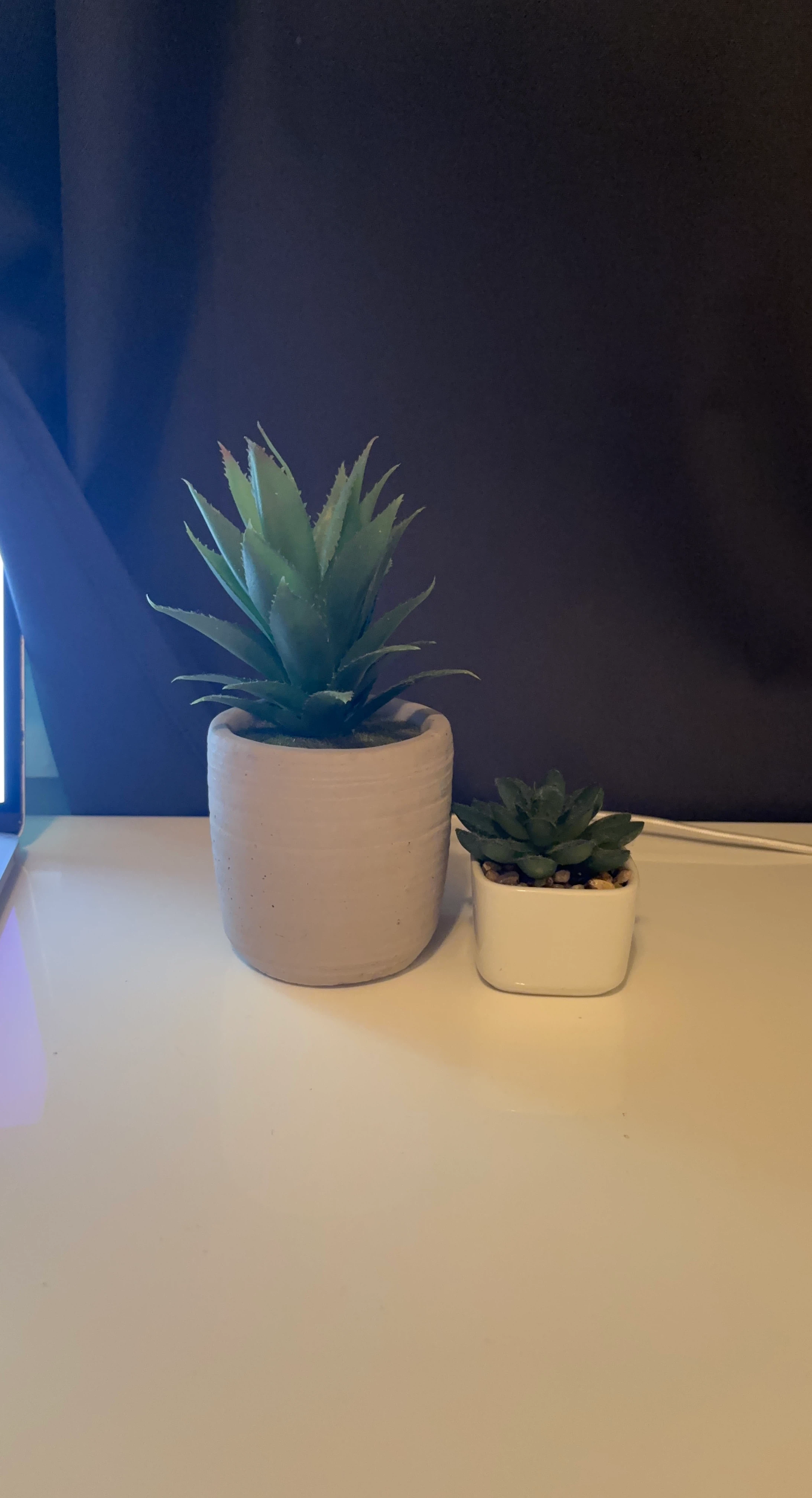 Two artificial succulent plants in pots