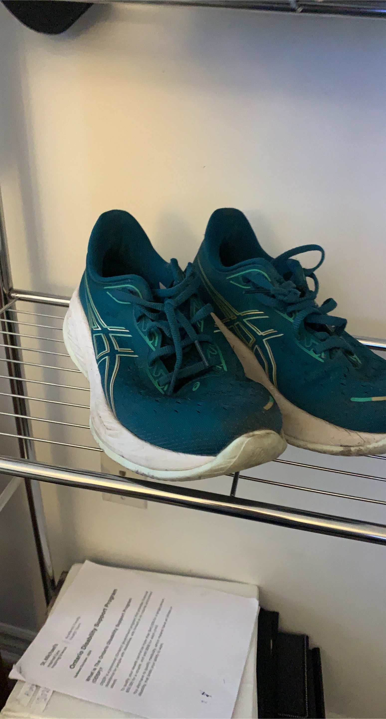 ASICS Running Shoes