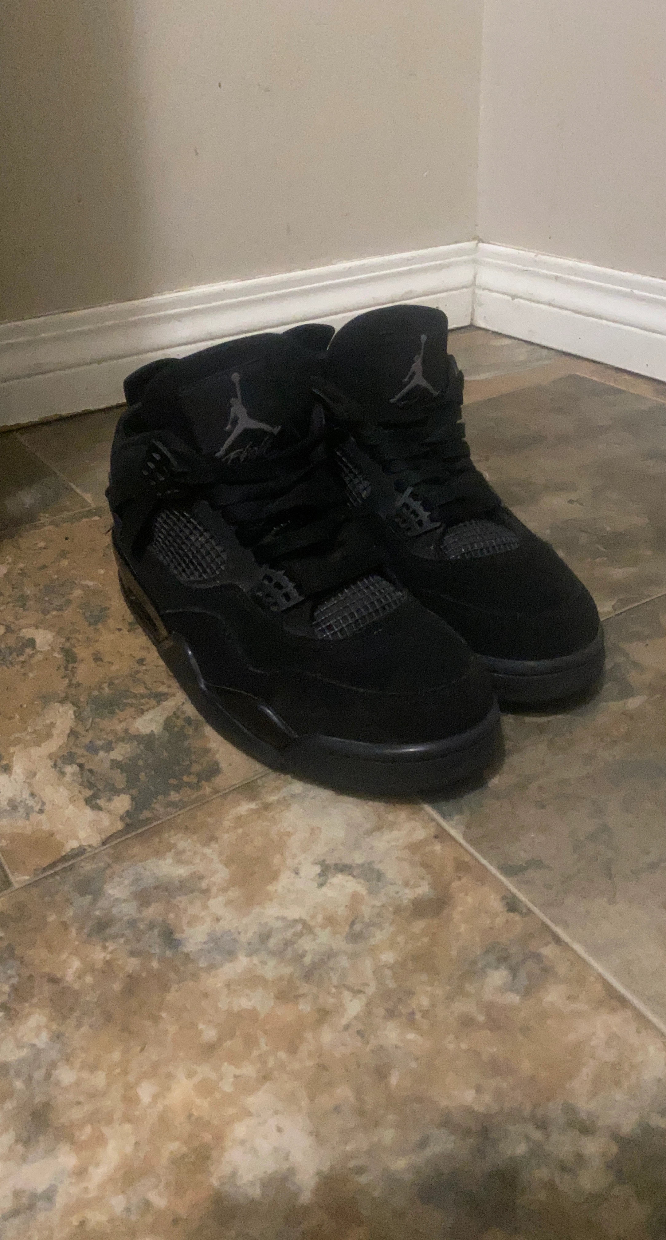 Air Jordan 4 "Black Cat"