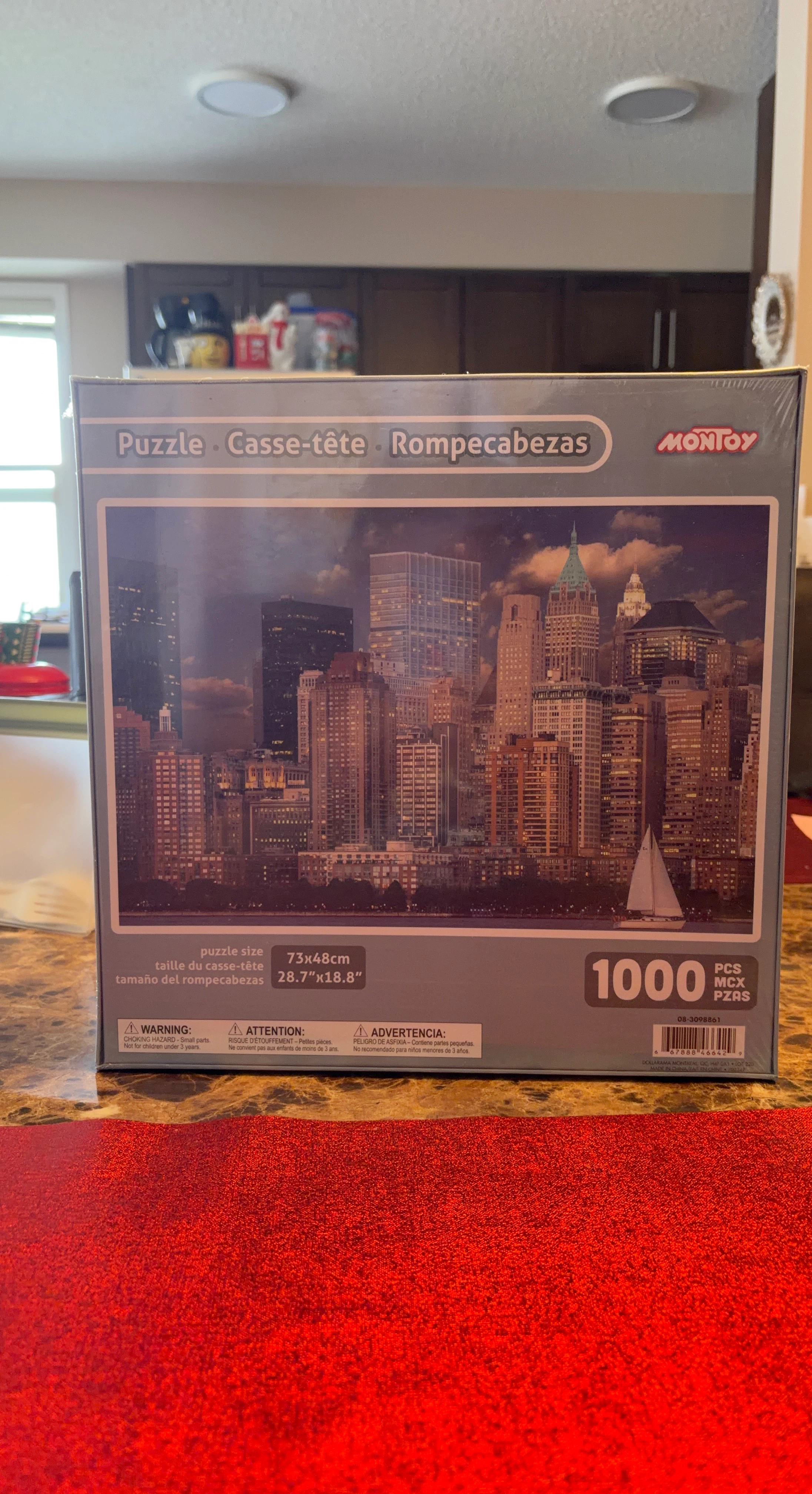 MONTOY 1000 Piece Cityscape Puzzle