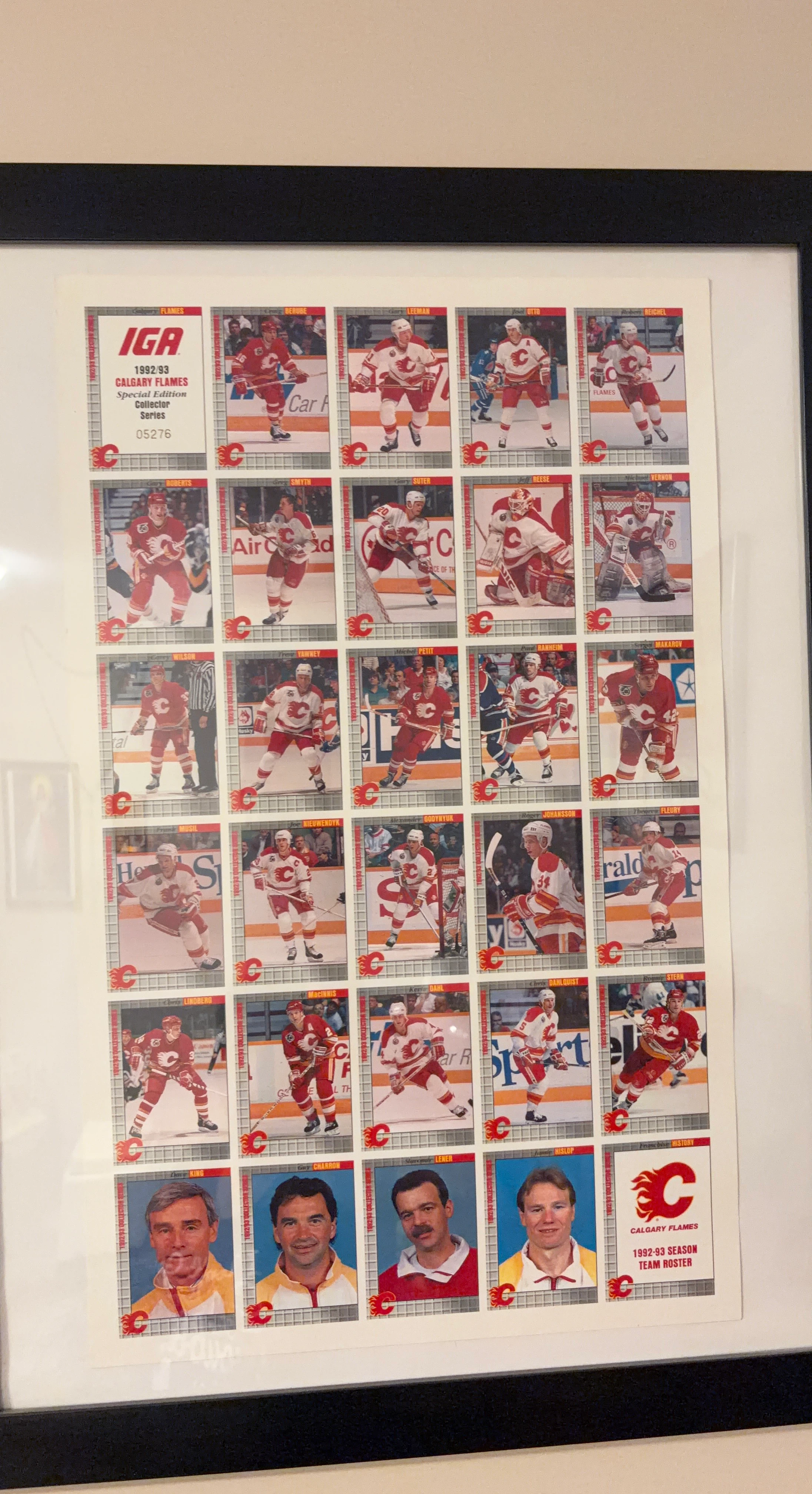 1992-93 Calgary Flames IGA Collector Series Hockey Cards