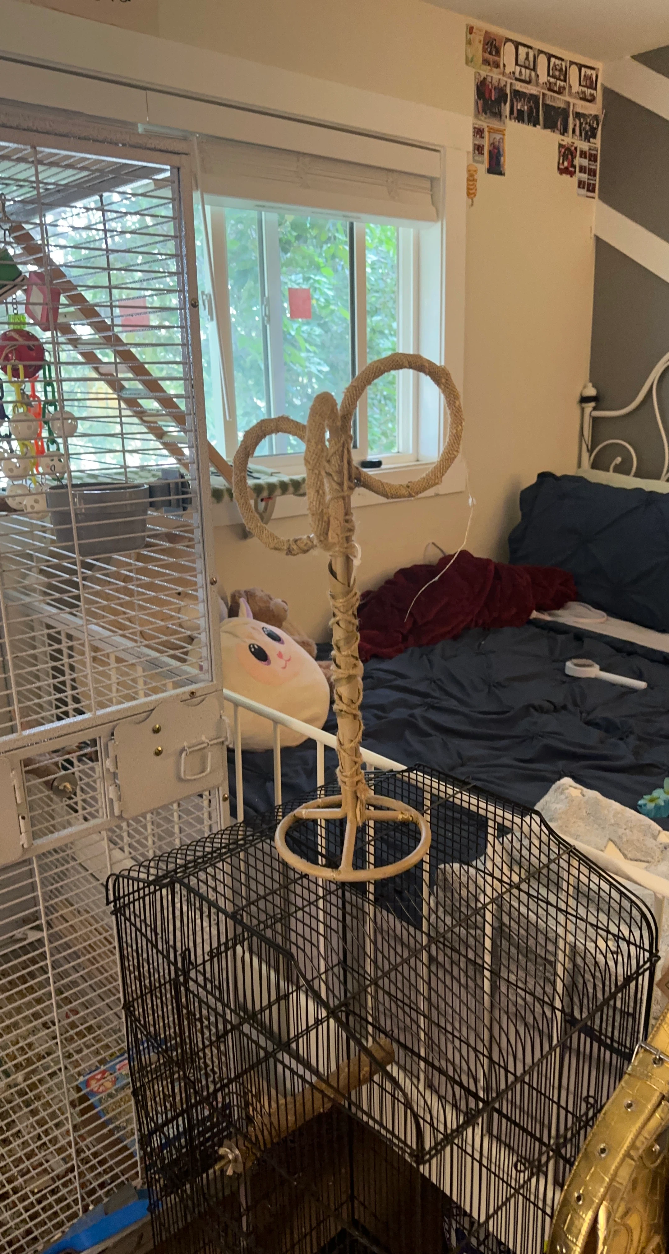 Bird Perch Stand