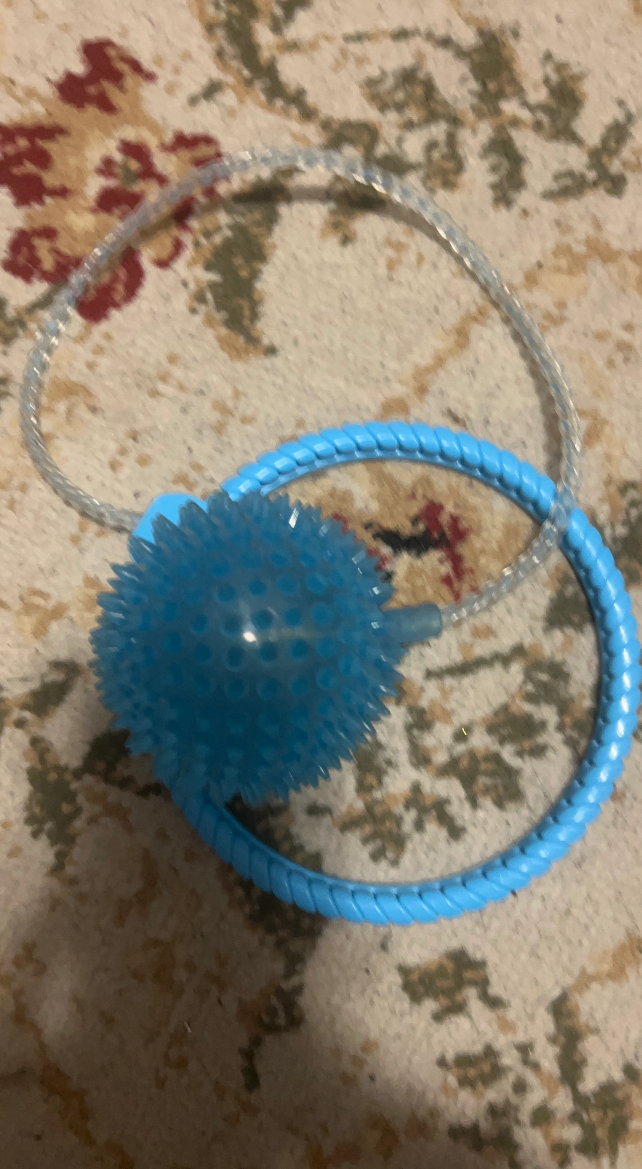 Blue Spiky Ball and Ring Dog Toy
