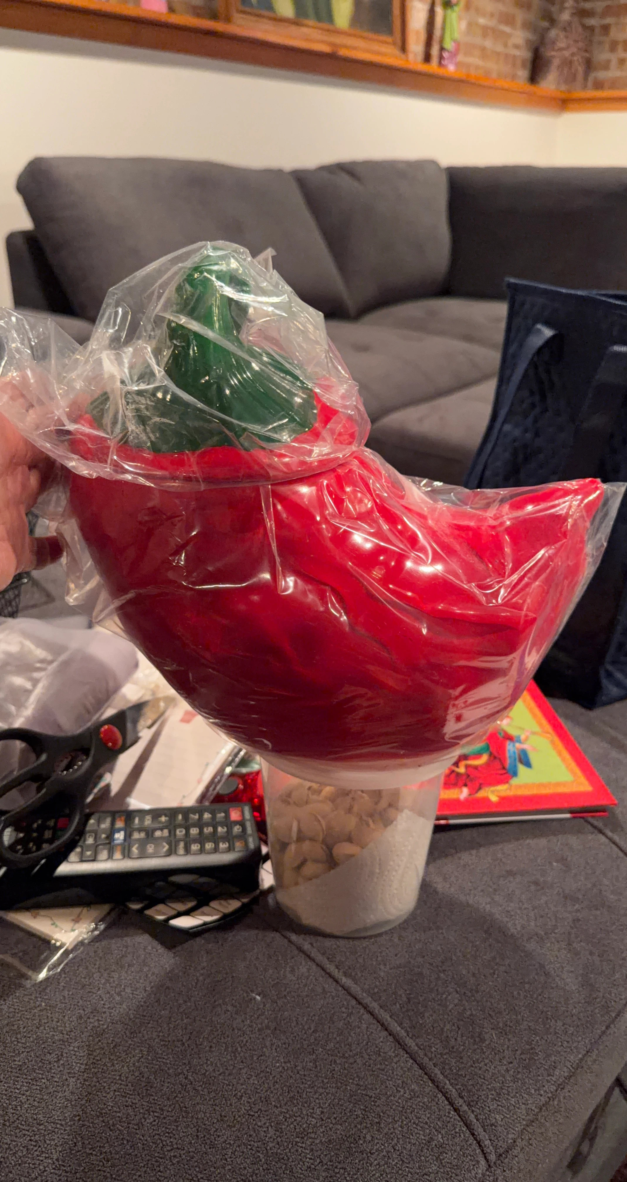 Red Chili Pepper Shaped Bowl with Green Stem Lid