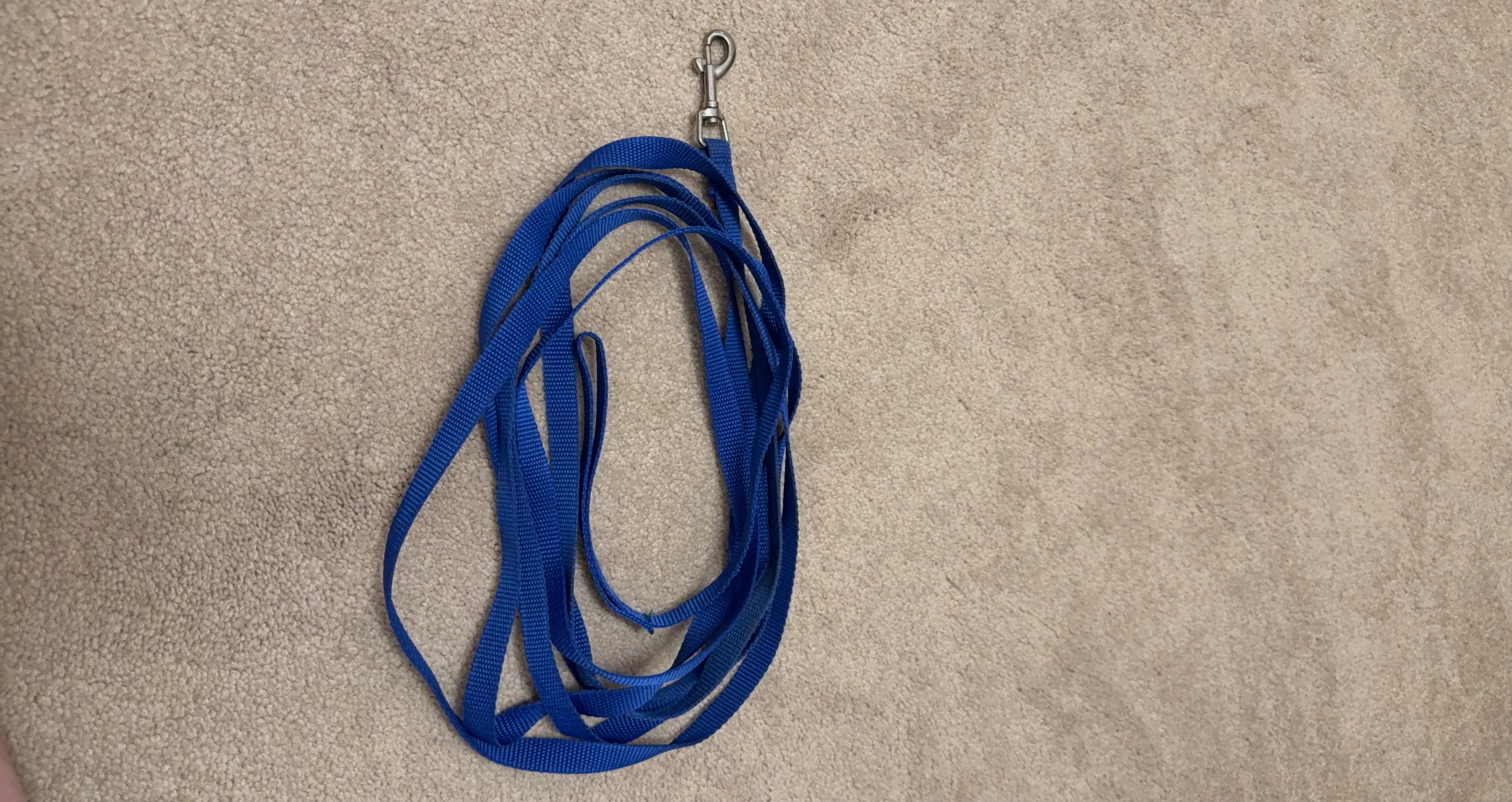 Blue Nylon Dog Training Leash