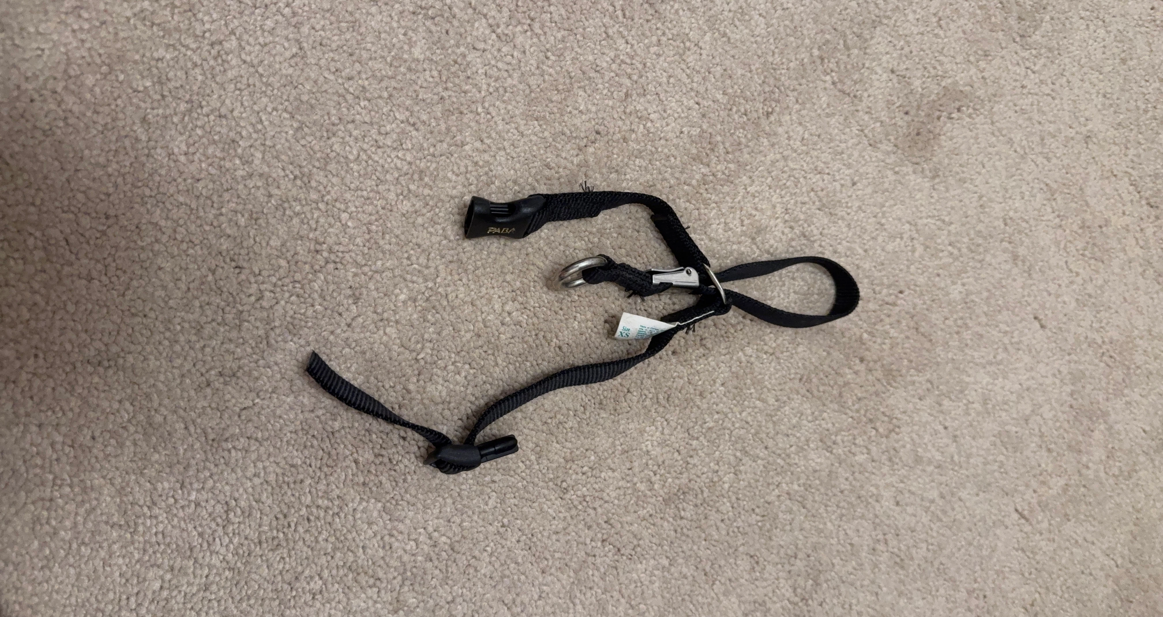 PABA Black Pet Collar
