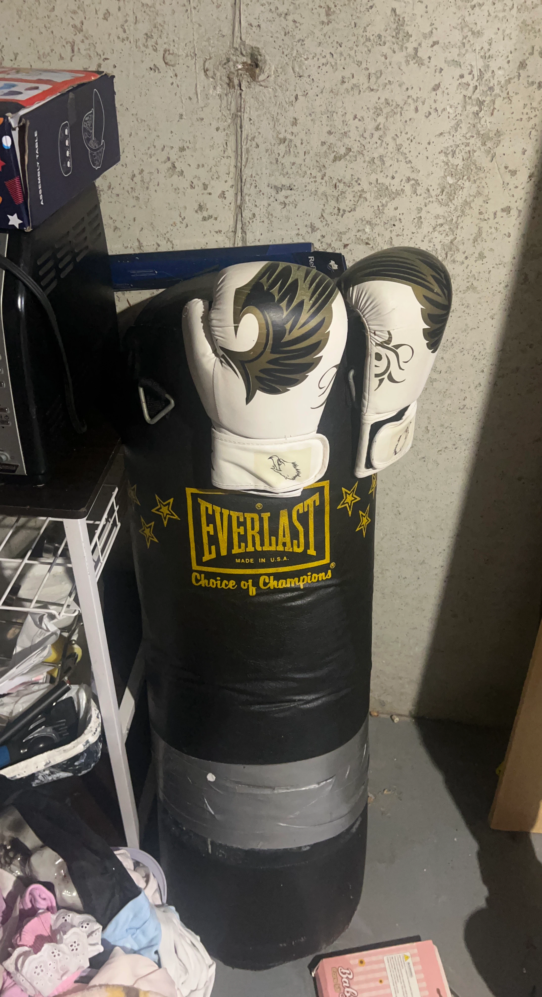 Everlast Punching Bag and Gloves