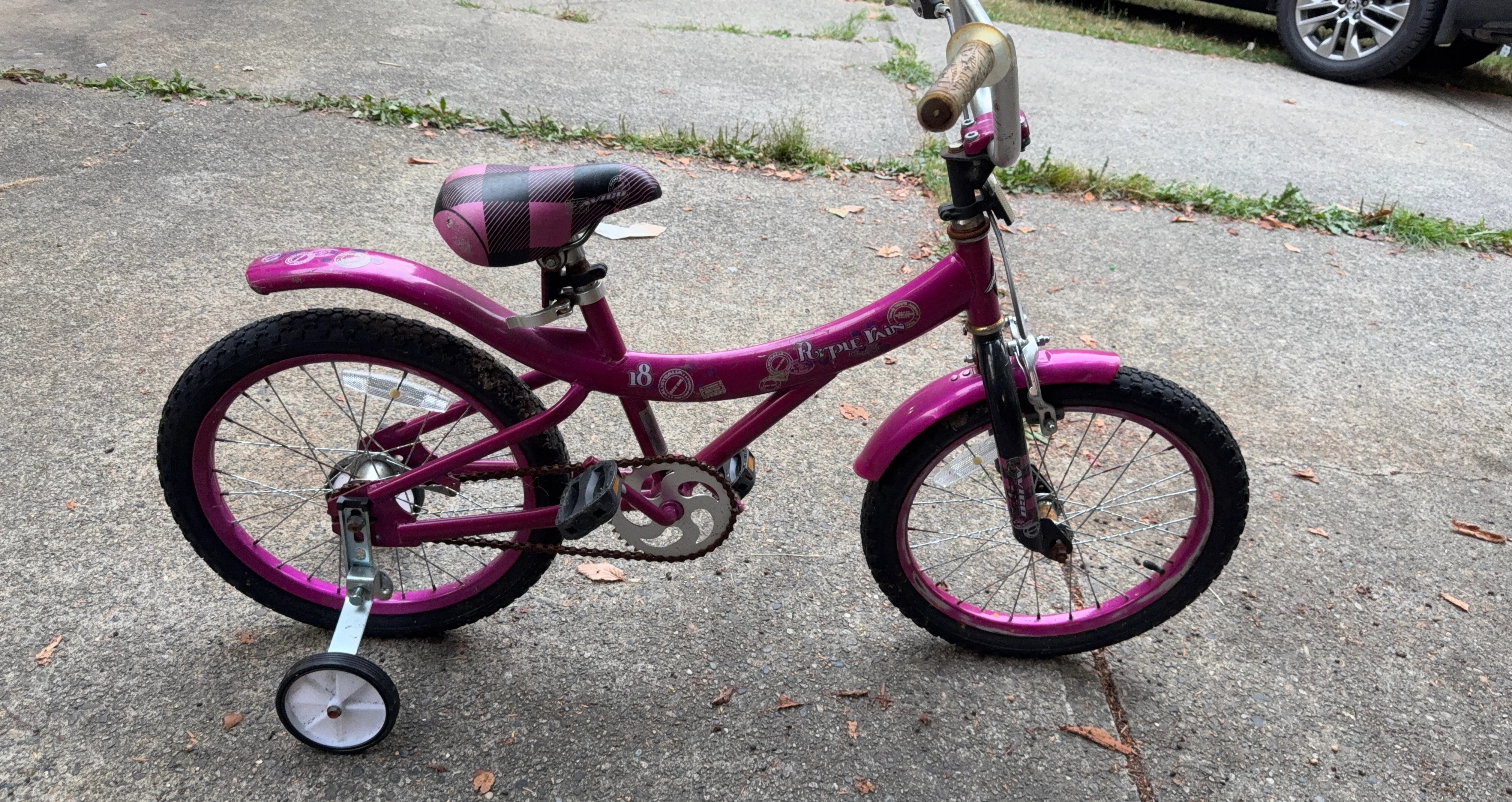 Pink Kids Bike with Training Wheels