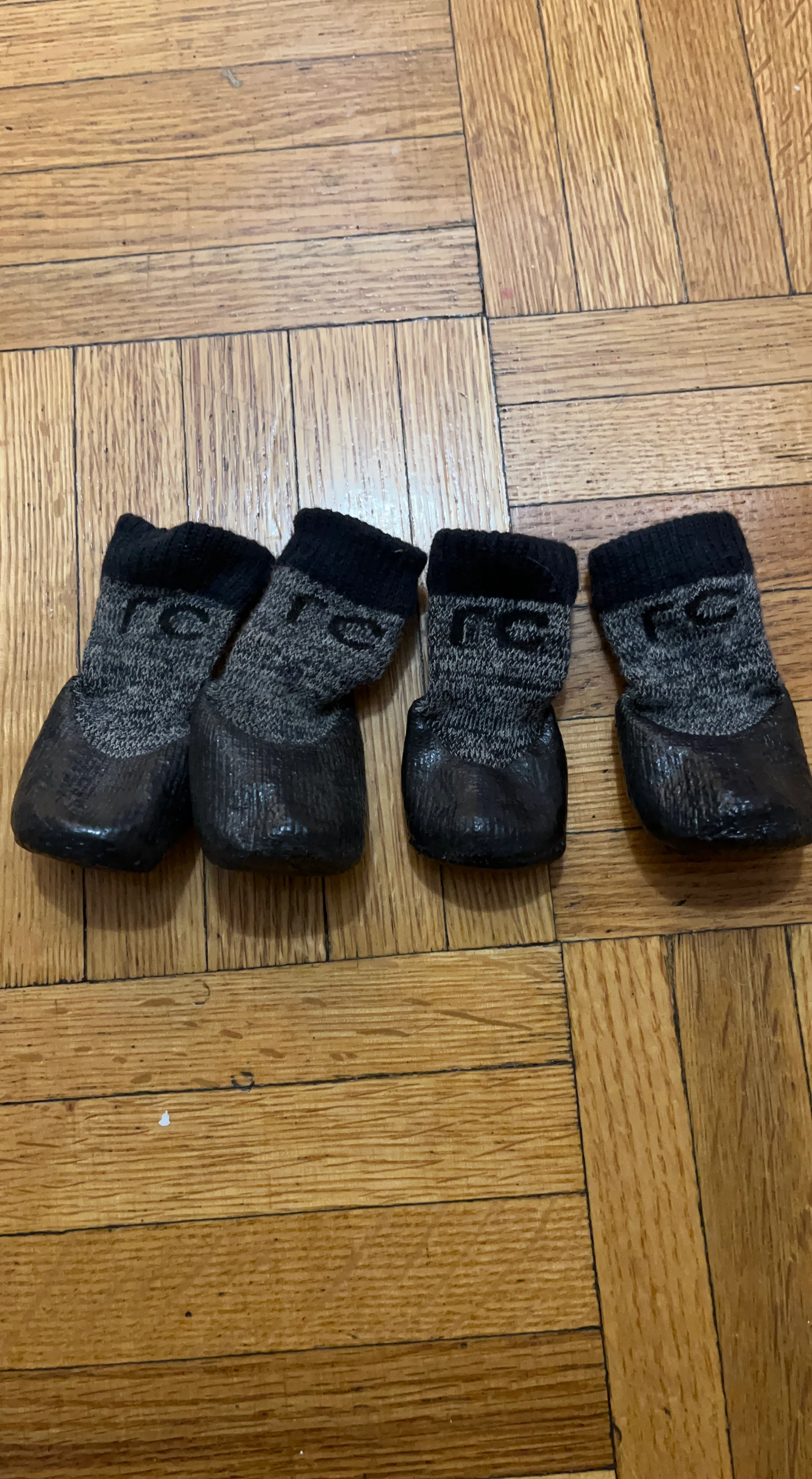 RC Pet Products Dog Booties
