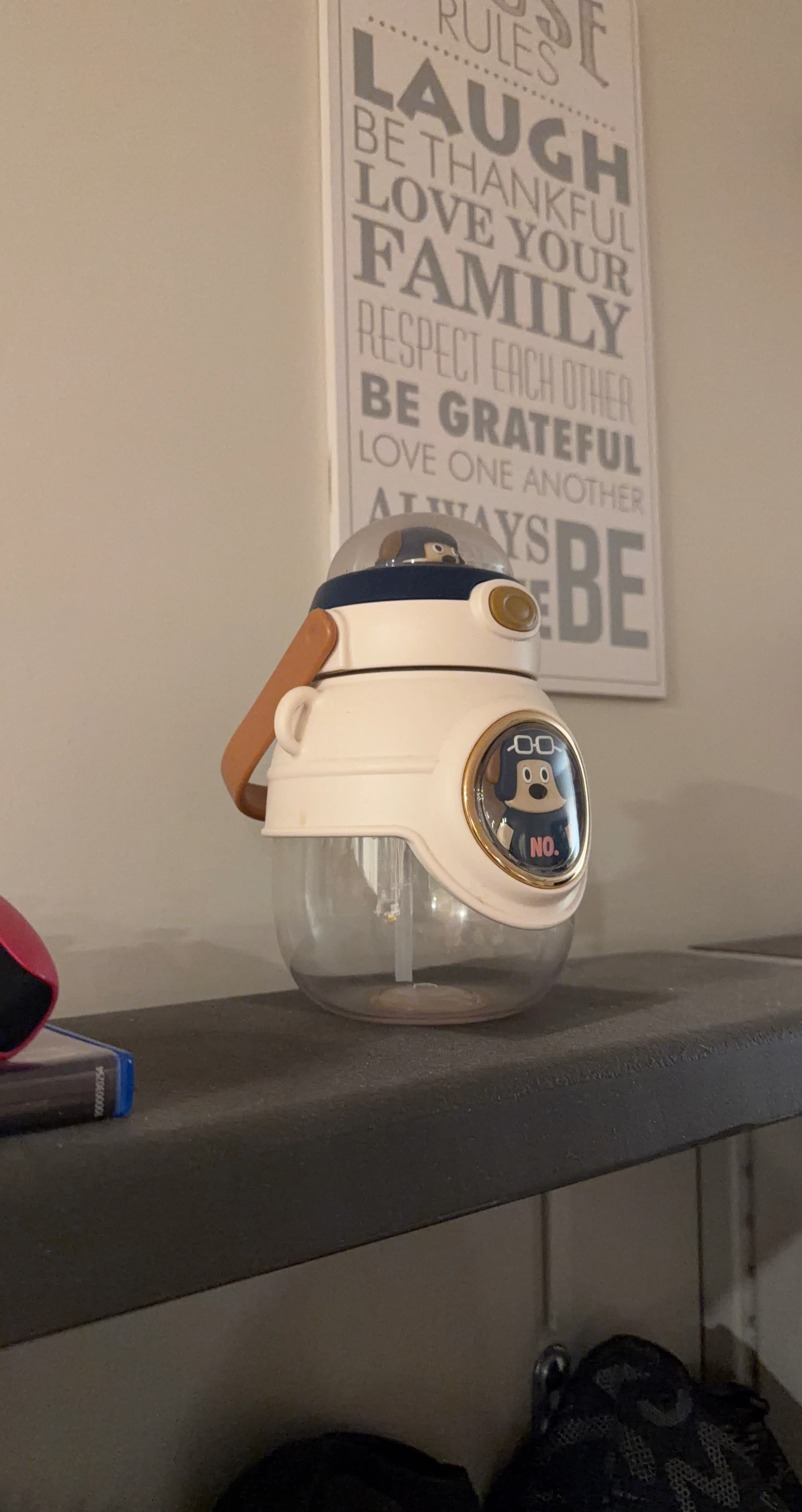 Cute Water Bottle with Straw