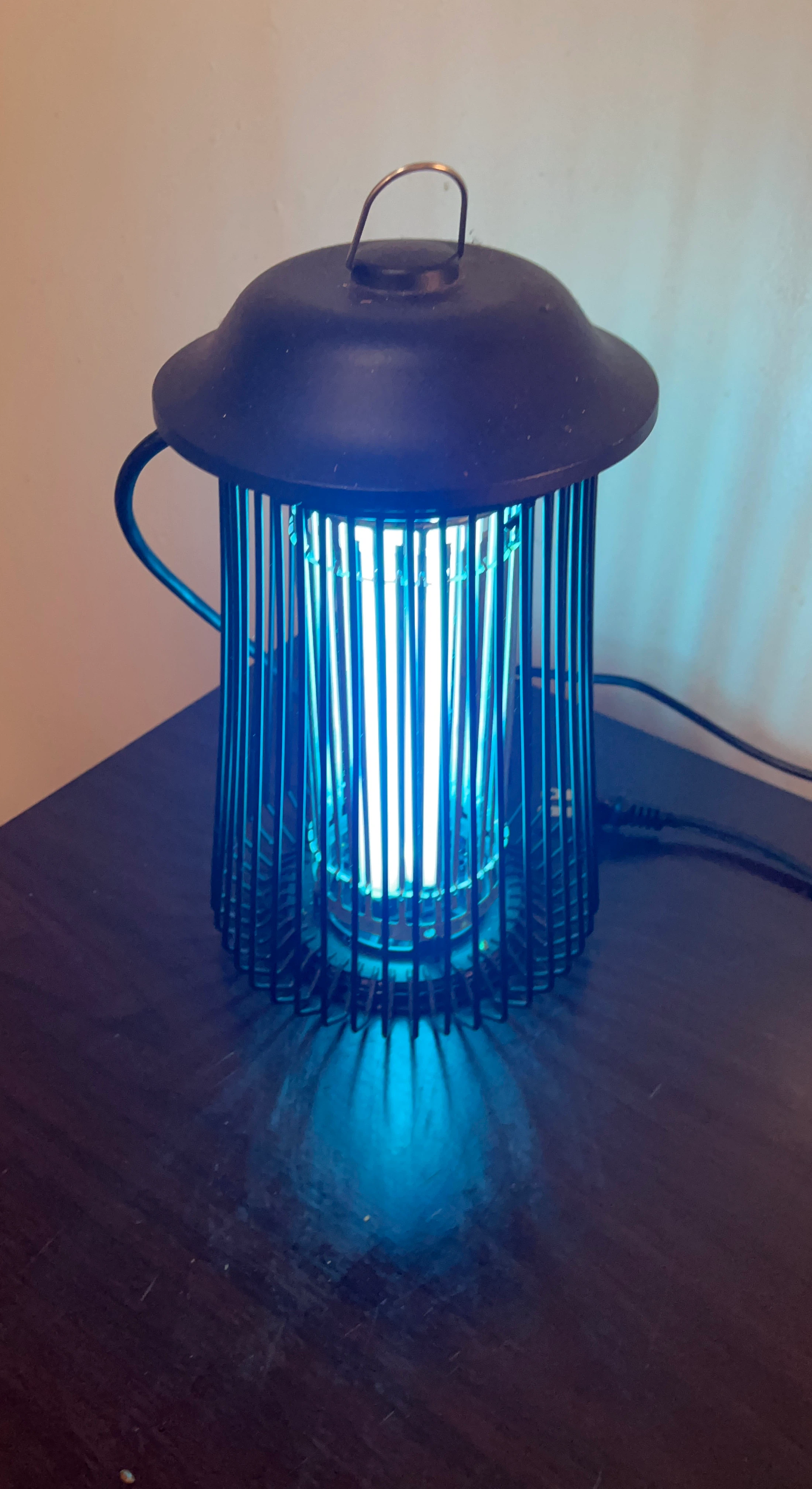 Blue Bug Zapper Lamp