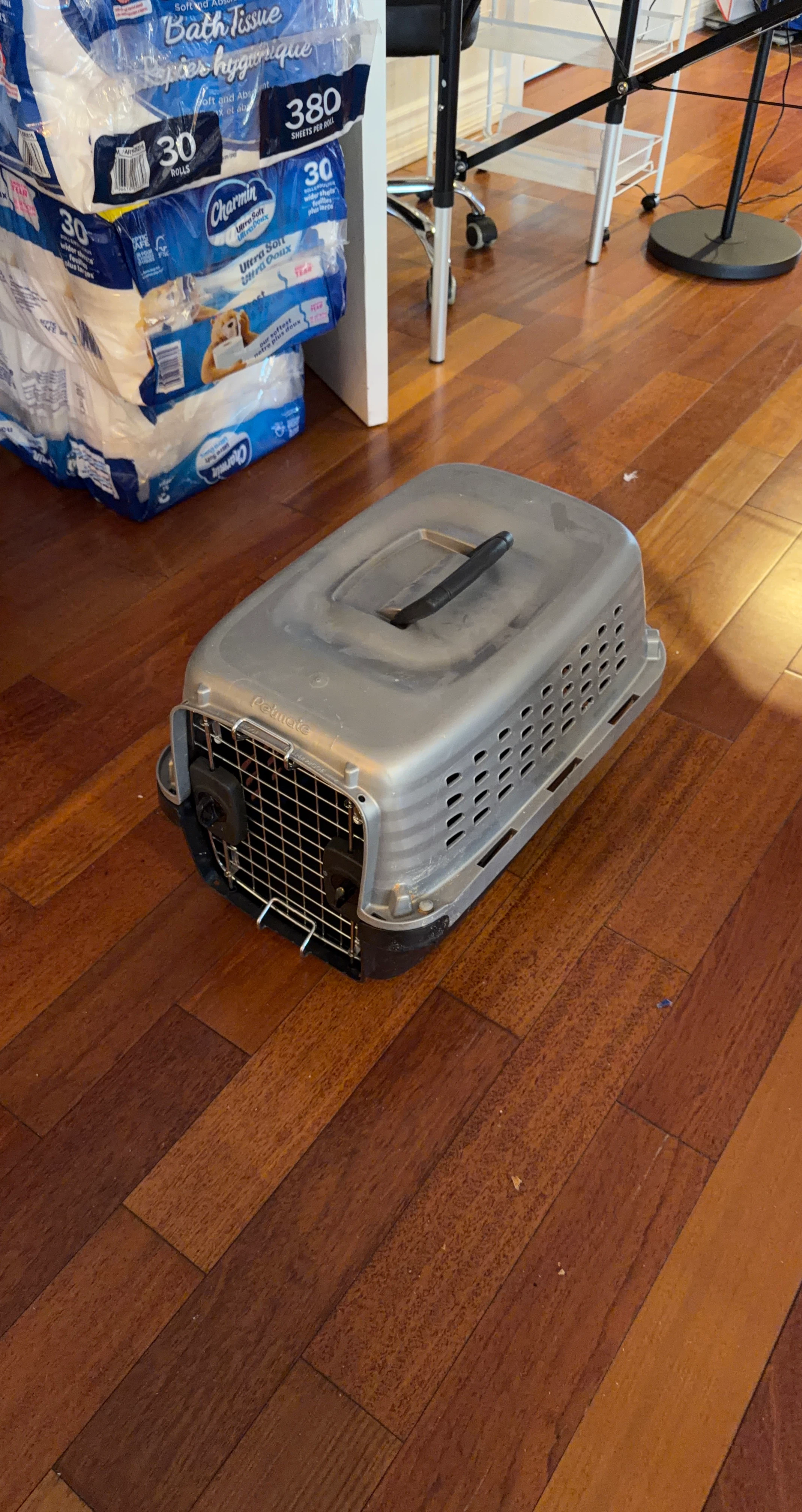 Petmate Small Pet Carrier