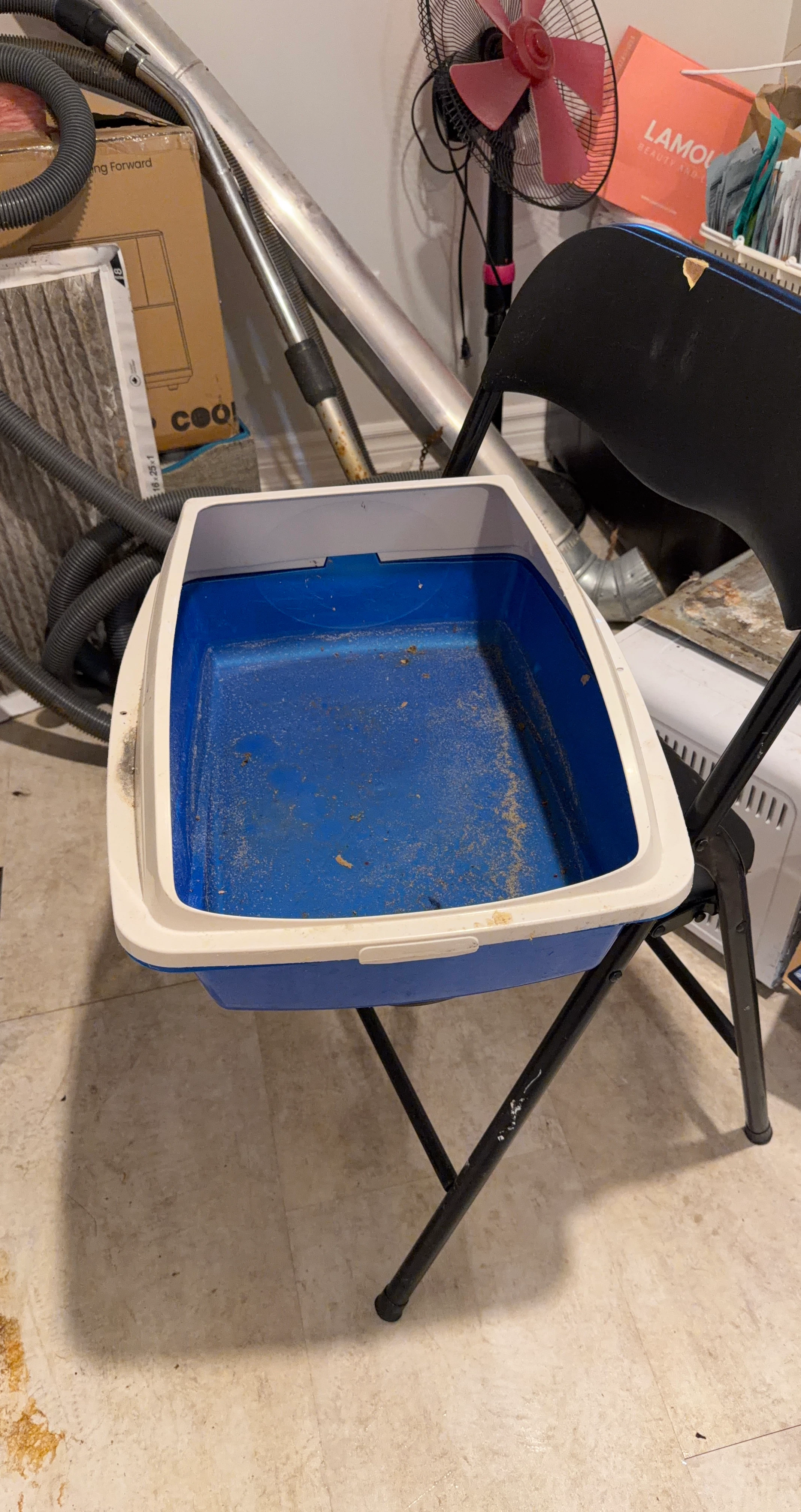 Blue and White Cat Litter Box