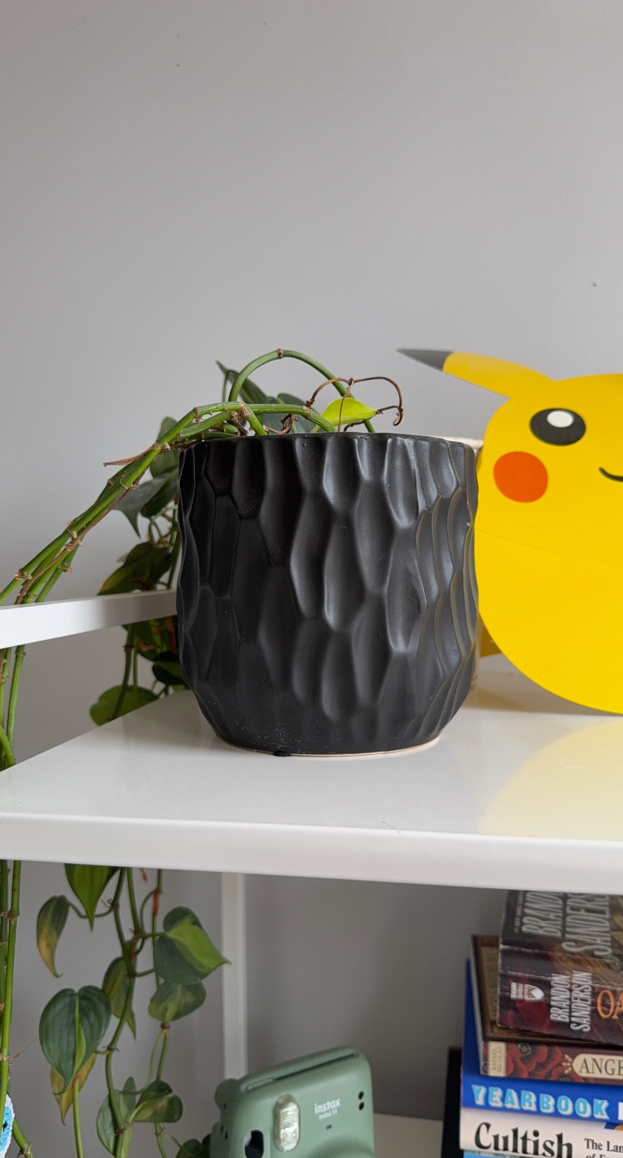 Black Textured Ceramic Plant Pot