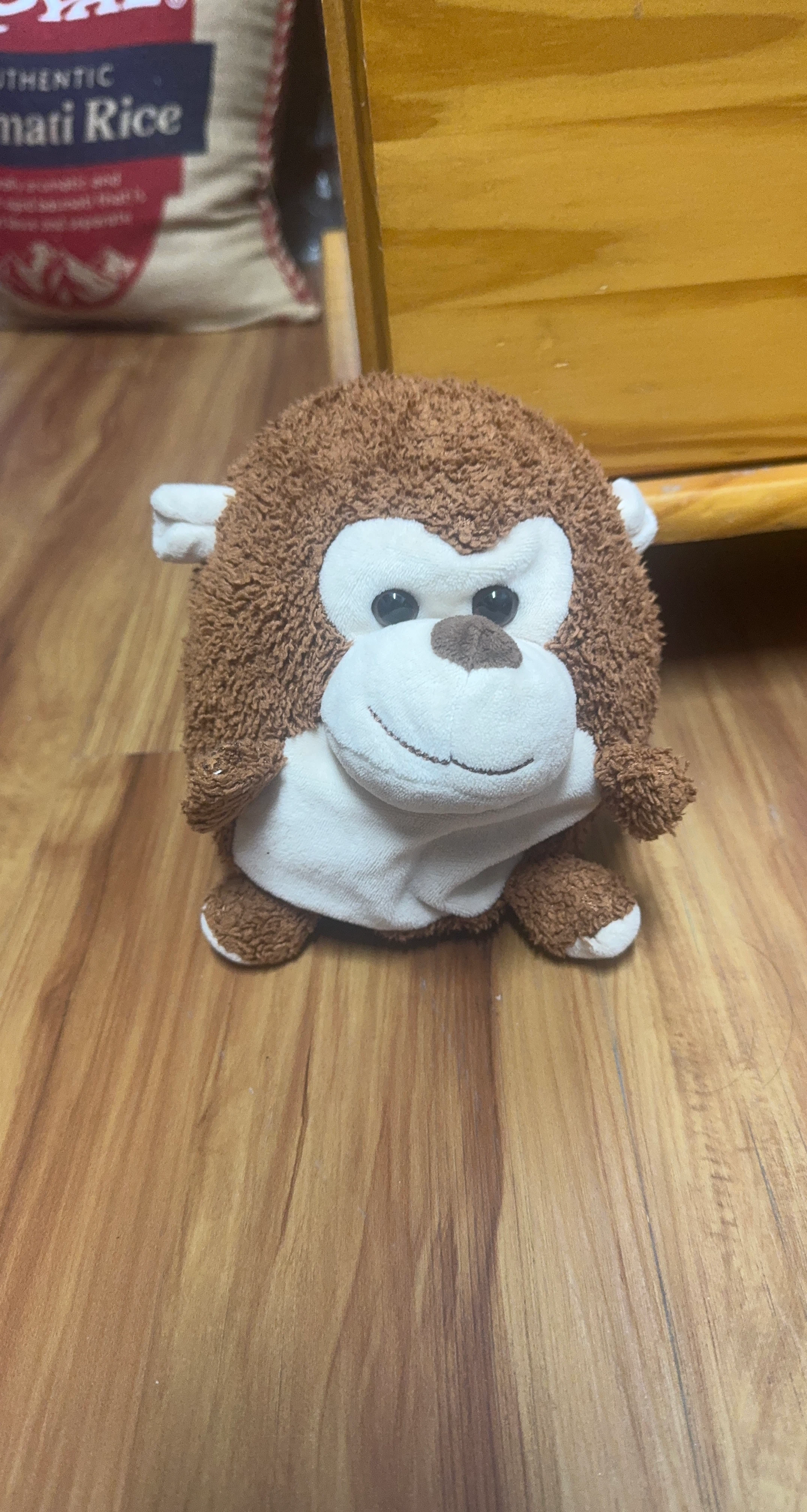 Plush Monkey Stuffed Animal