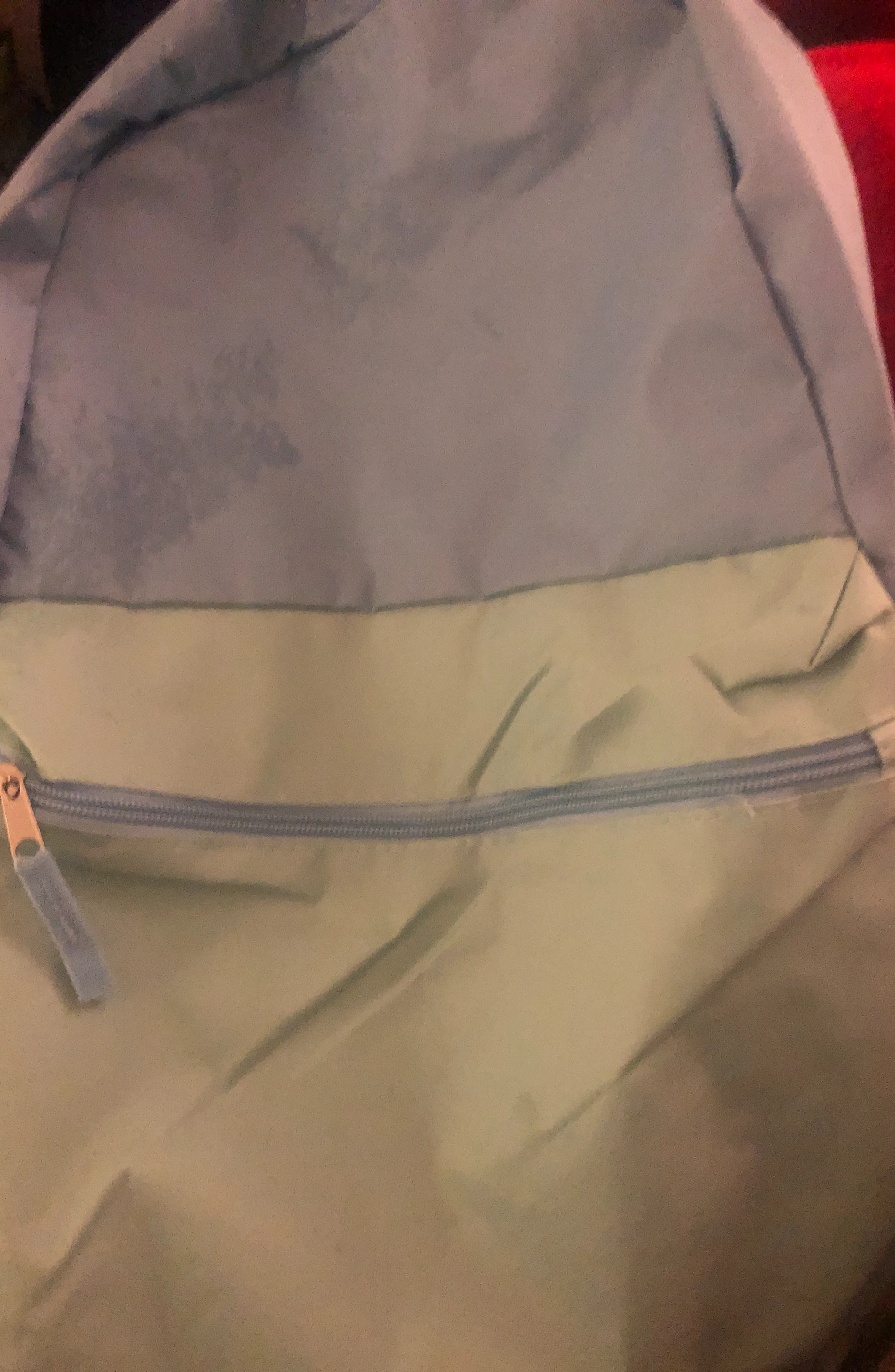 Light Blue and Mint Green Backpack