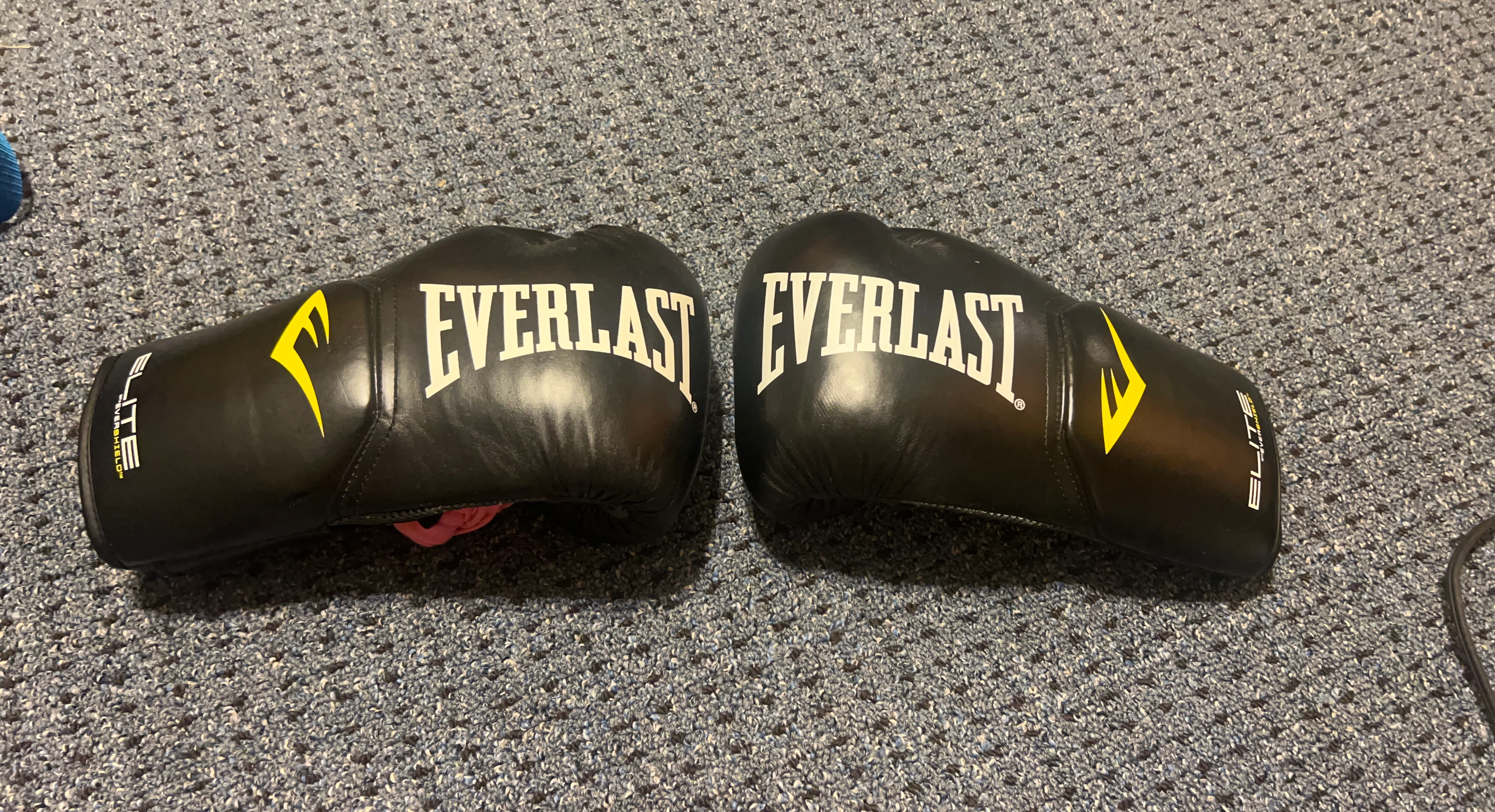 Everlast Elite Boxing Gloves