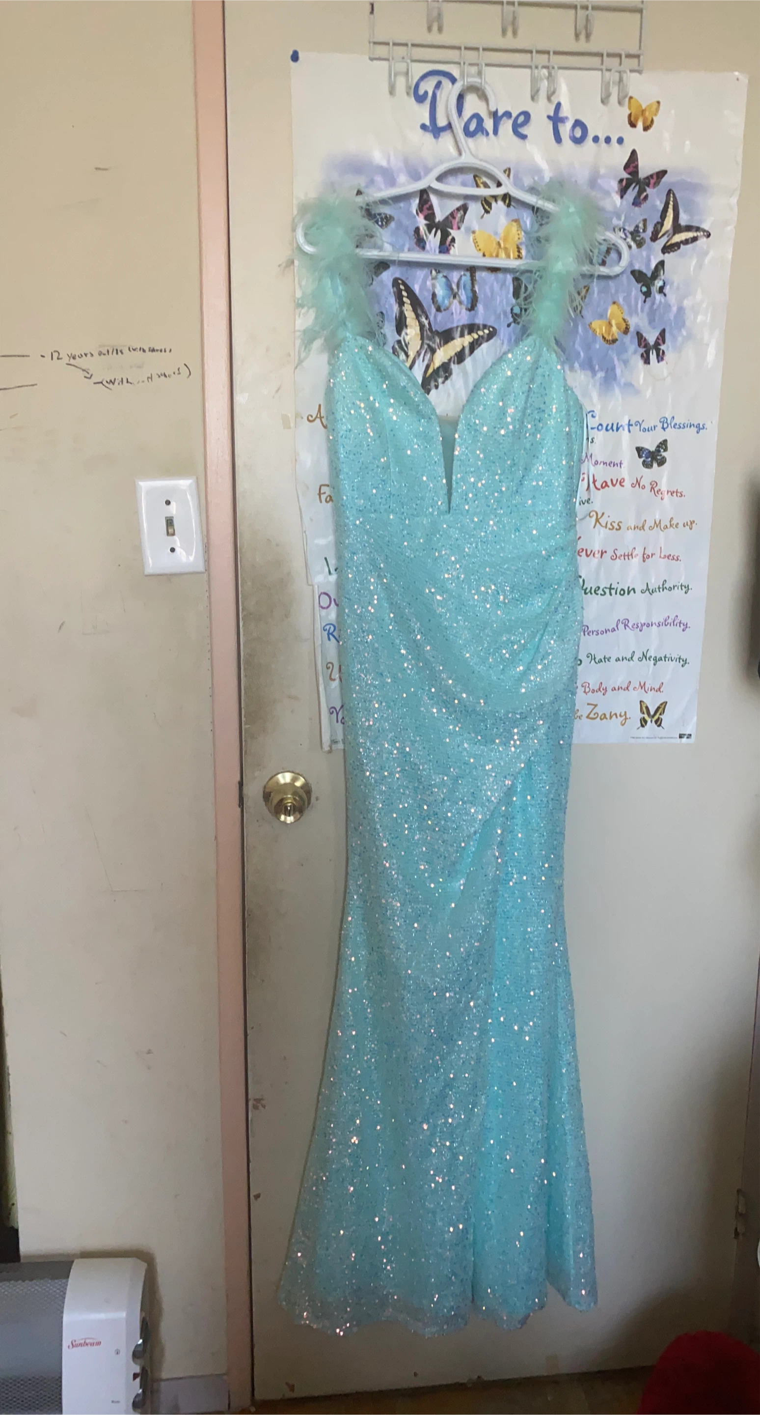 Sparkly Aqua Gown with Feather Accents