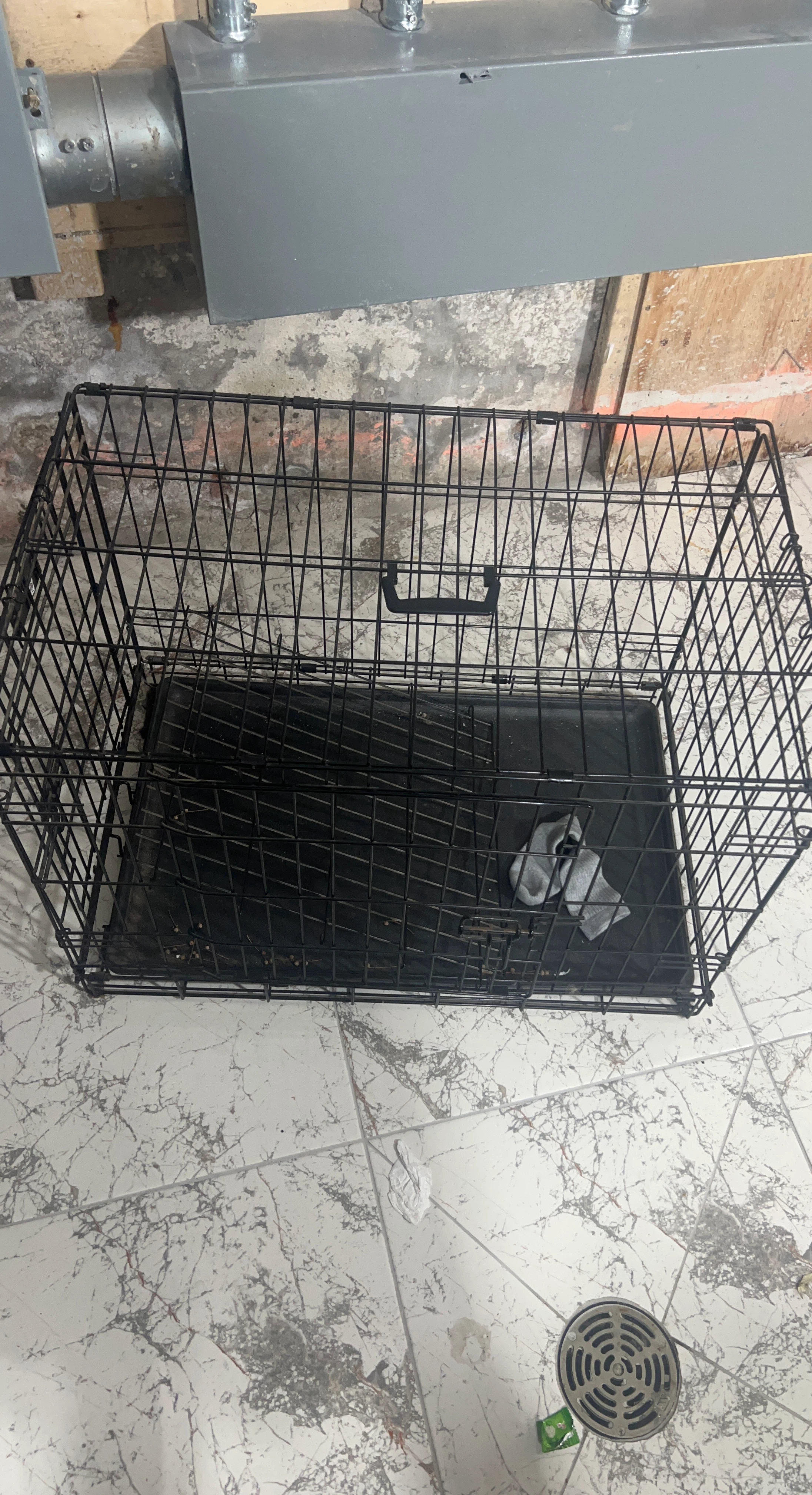 Black Metal Dog Crate with Tray