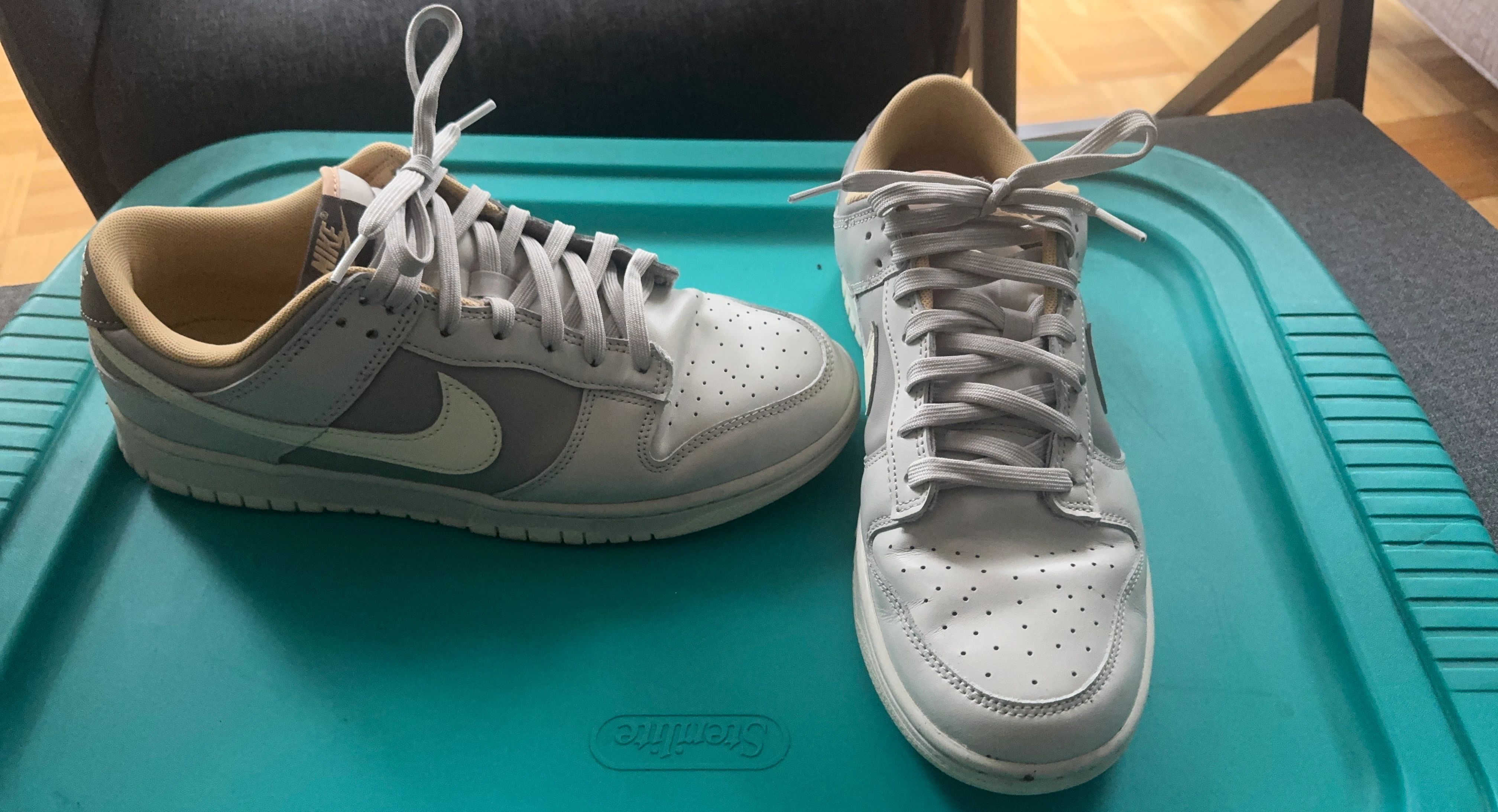 Nike Dunk Low Sneakers