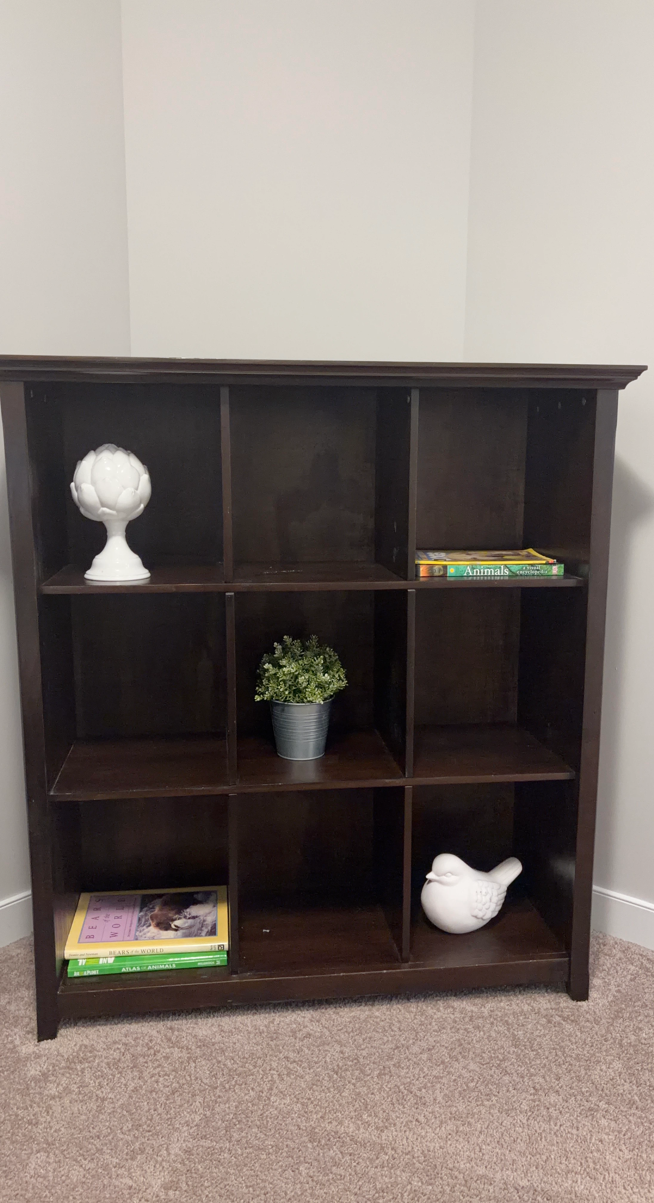 Dark Brown 9-Cube Bookshelf