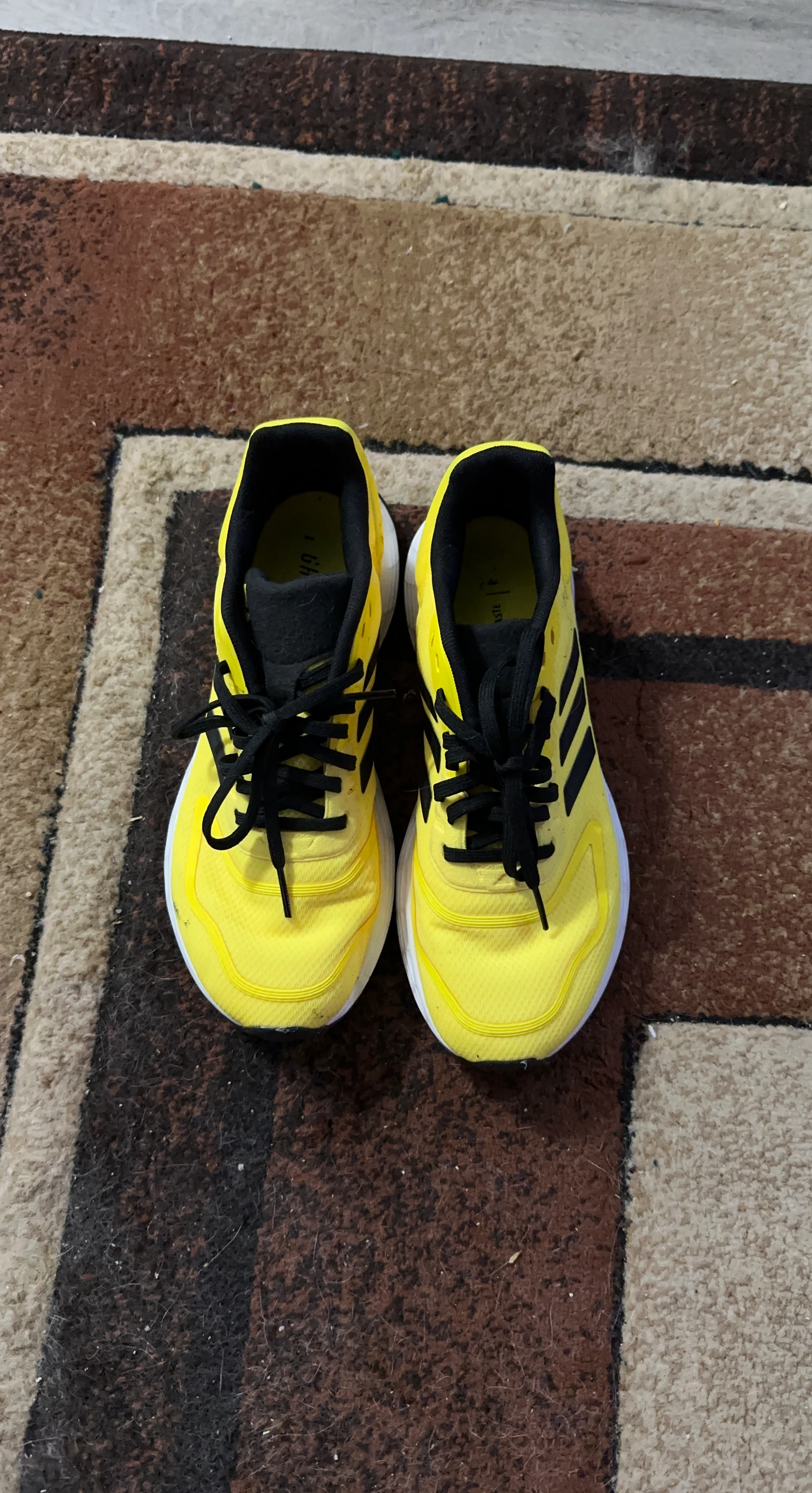 Adidas Running Shoes