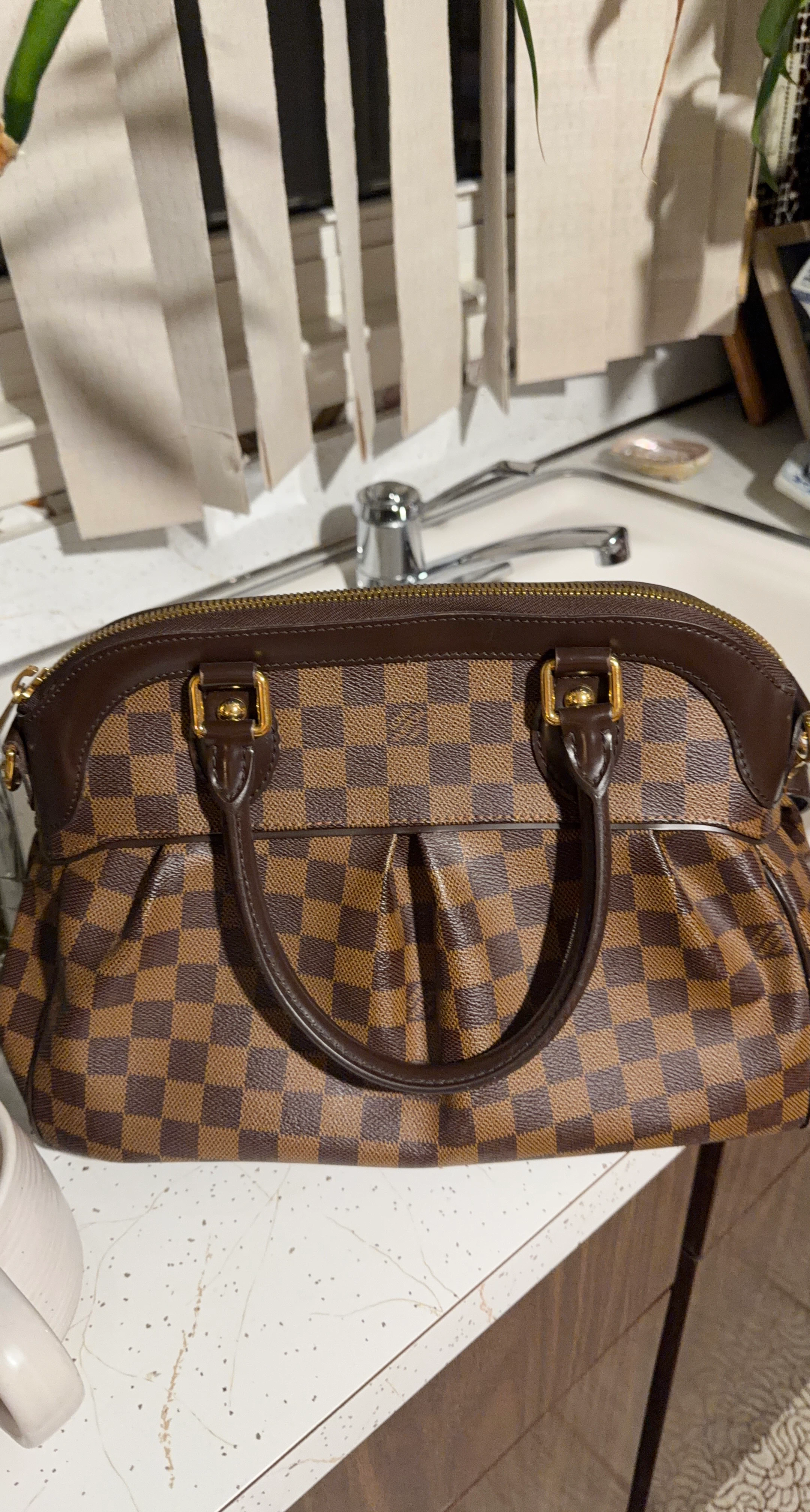 Louis Vuitton Damier Speedy Bag
