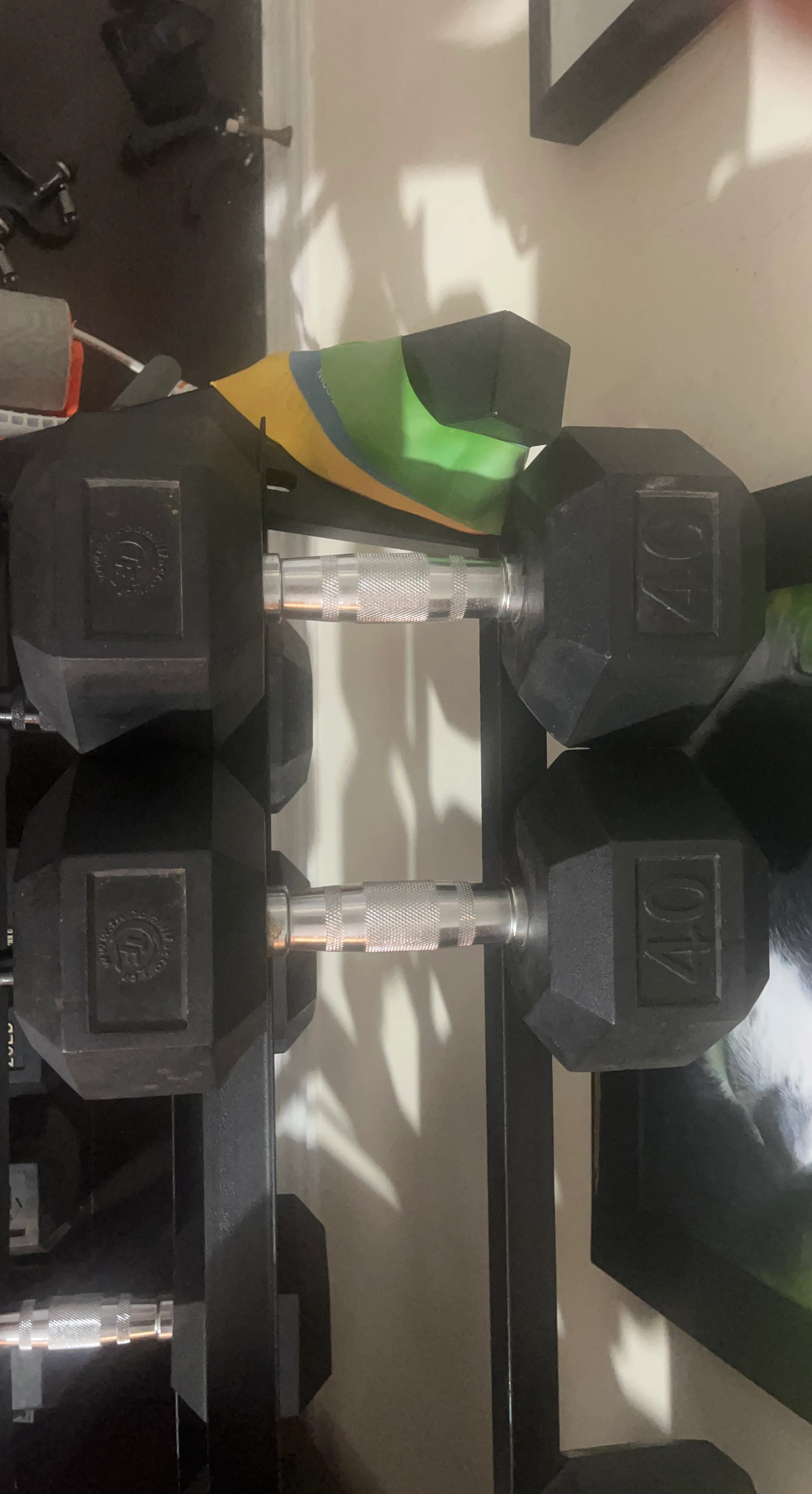 40lb Hex Dumbbell Pair