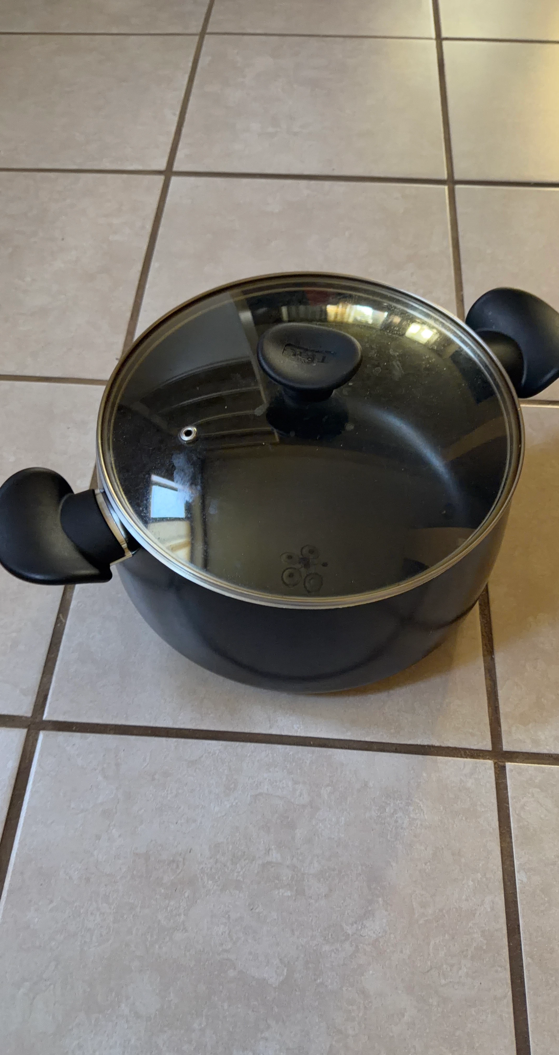 T-fal Non-Stick Stockpot with Glass Lid