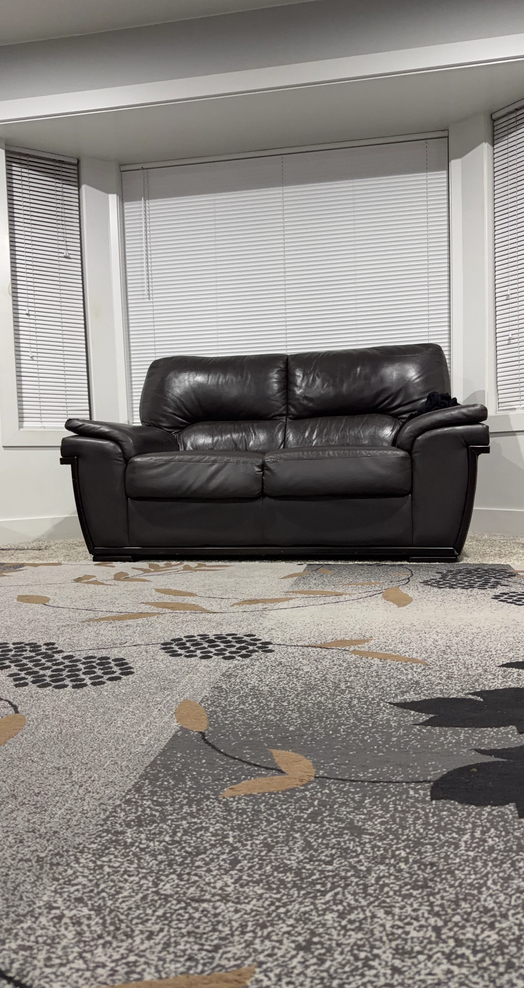 Brown Leather Loveseat Sofa