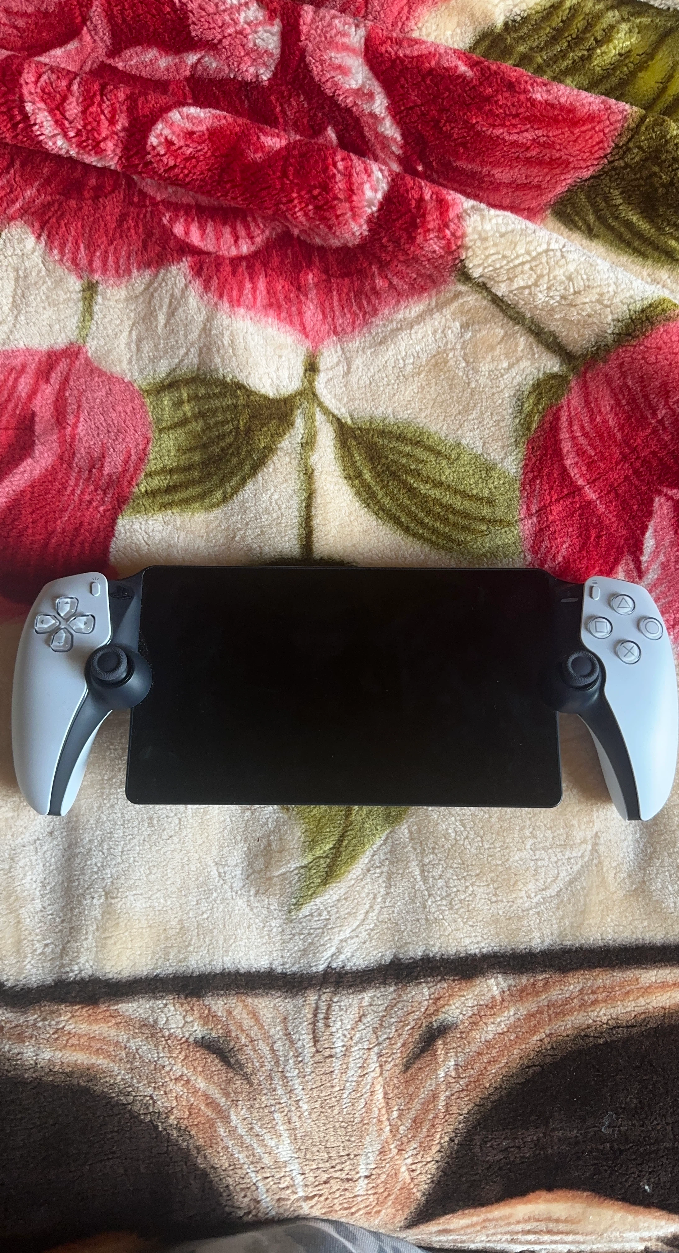 Sony PlayStation Portal Remote Player