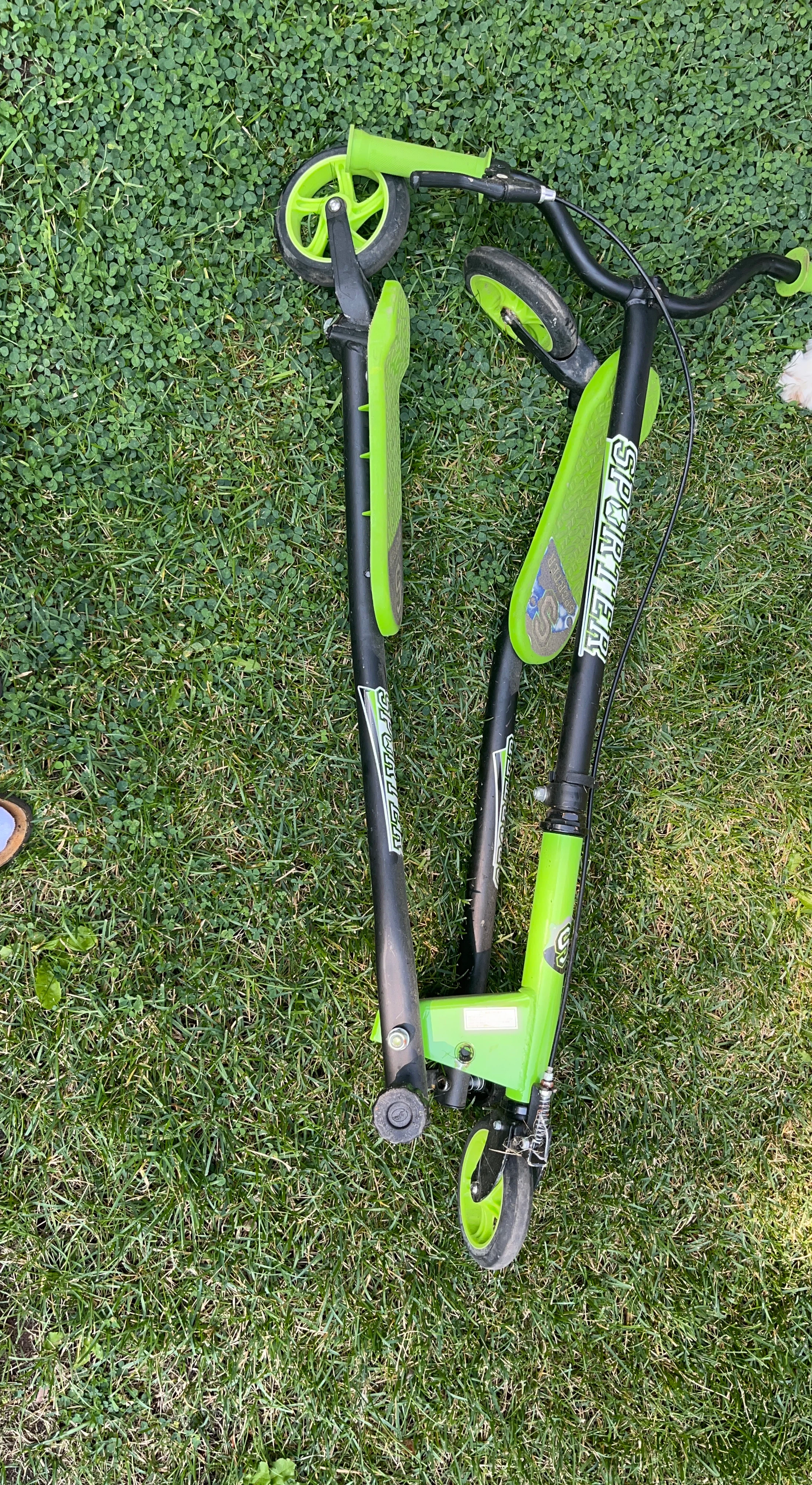 Sportster Scooter