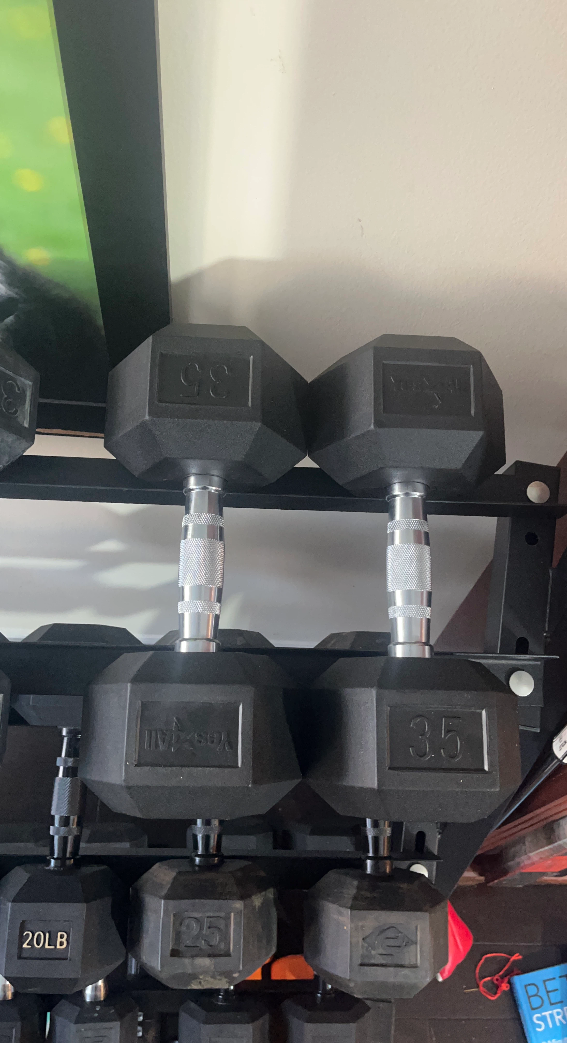 Hex Dumbbells (35lb pair)