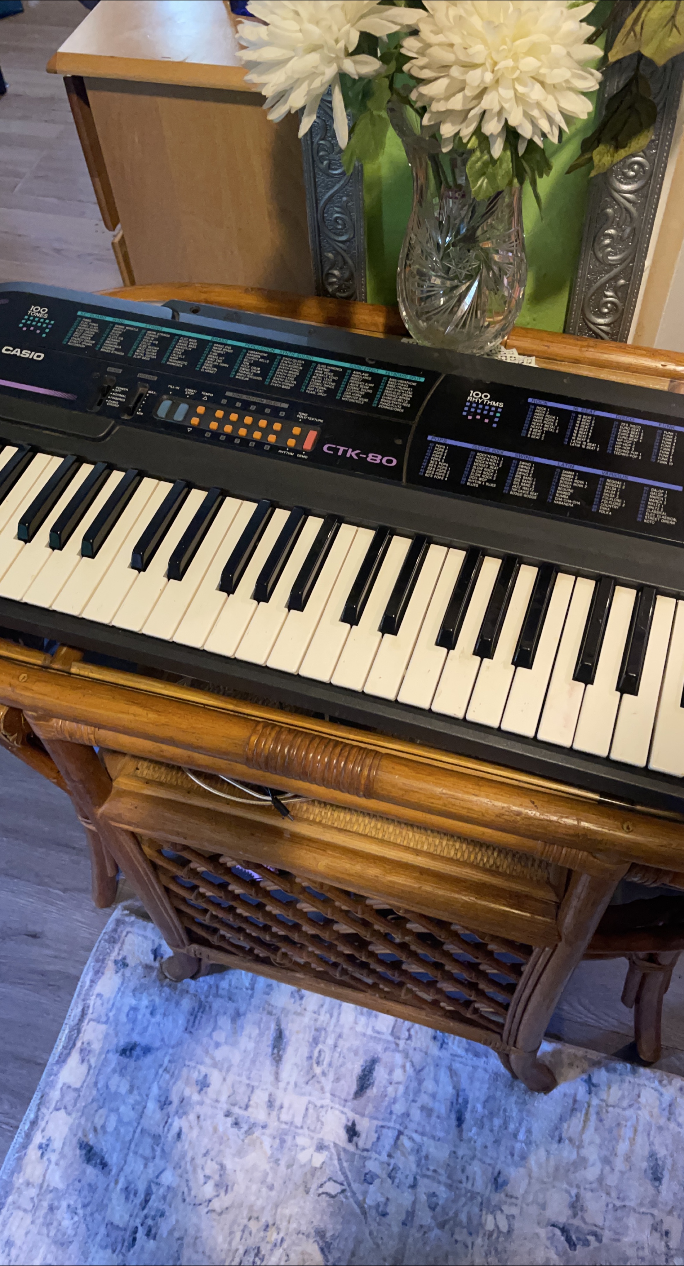 Casio CTK-80 Electronic Keyboard