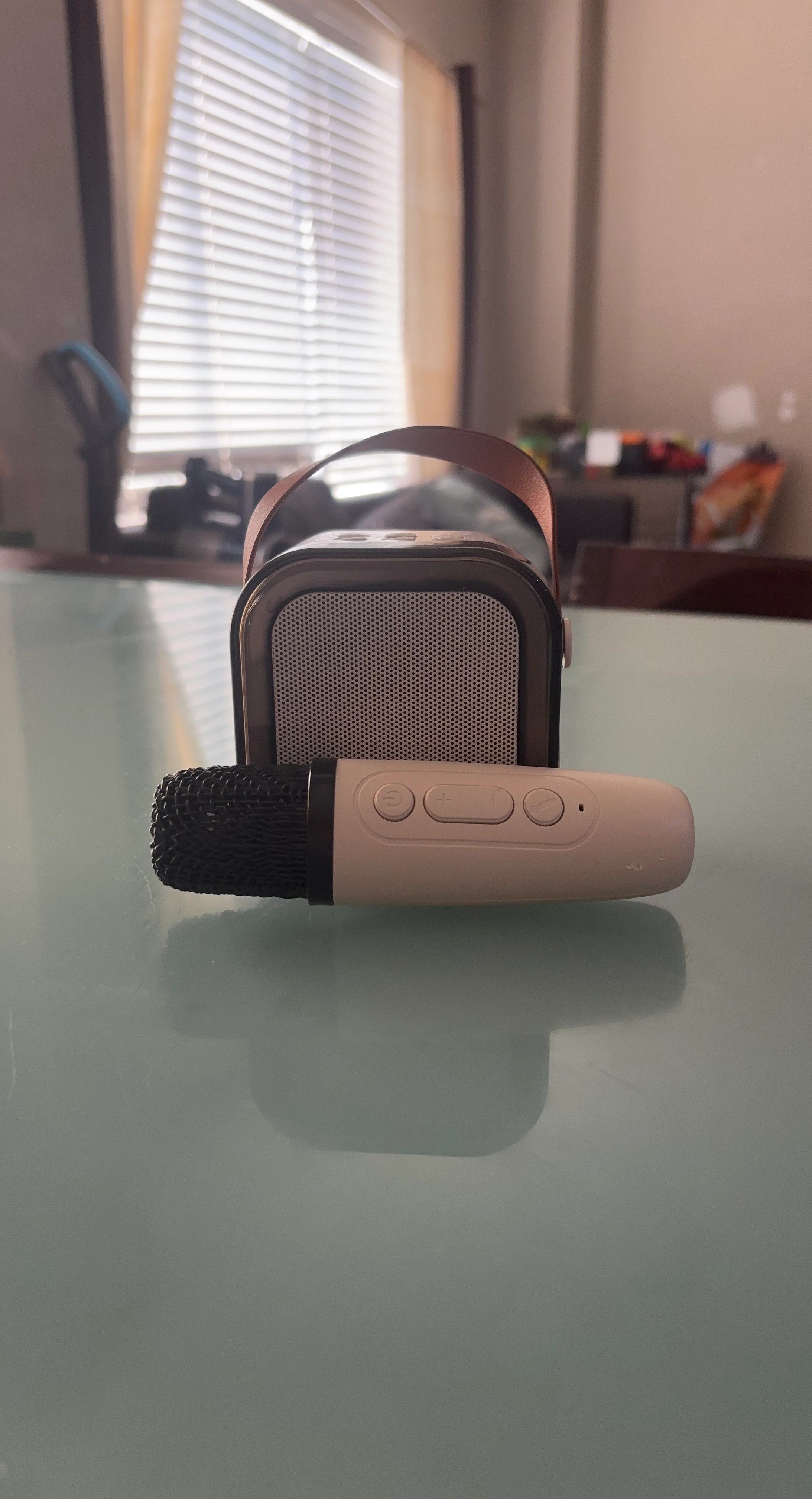 Portable Mini Karaoke Machine with Wireless Microphone