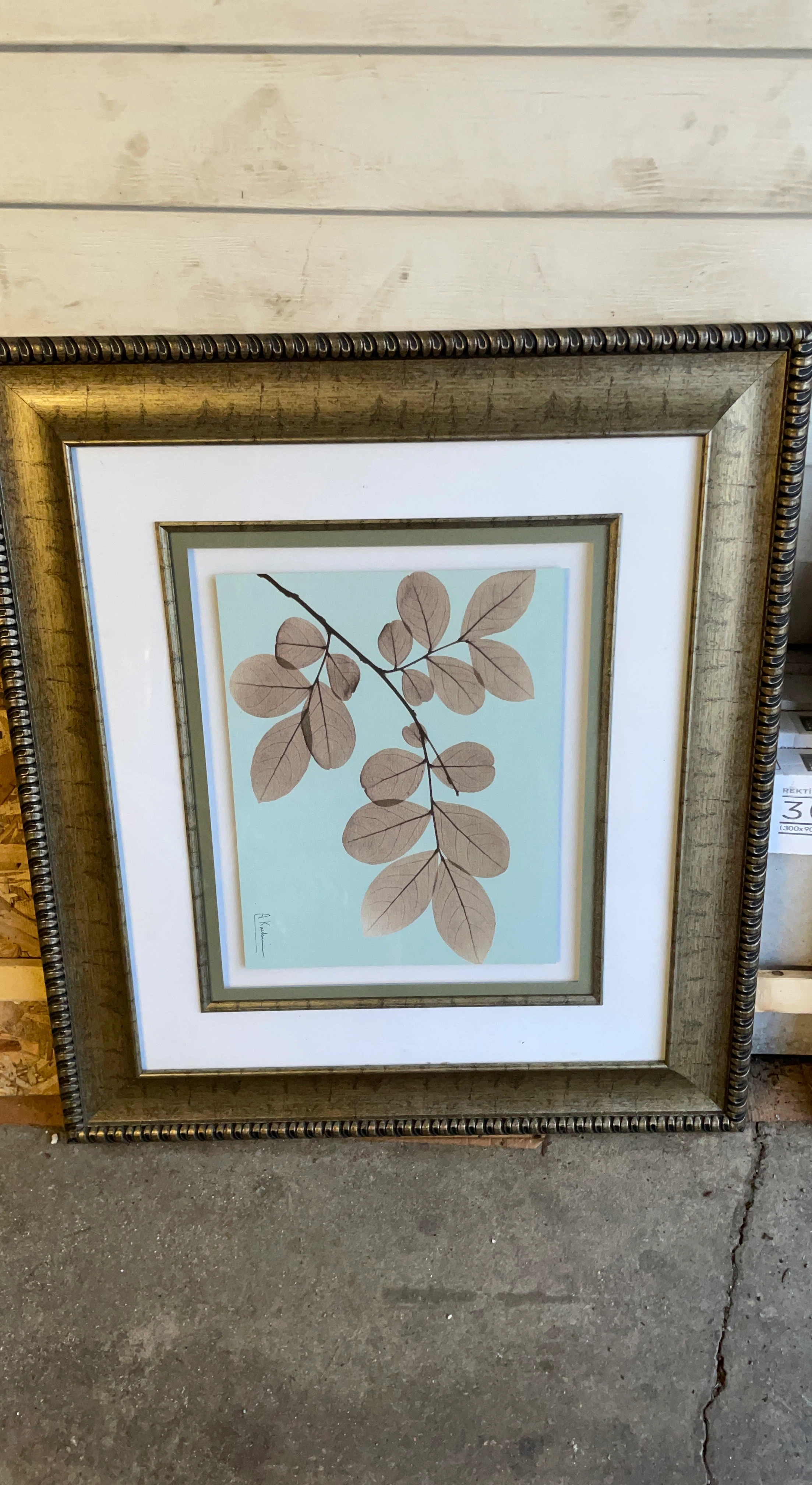 Framed botanical leaf wall art
