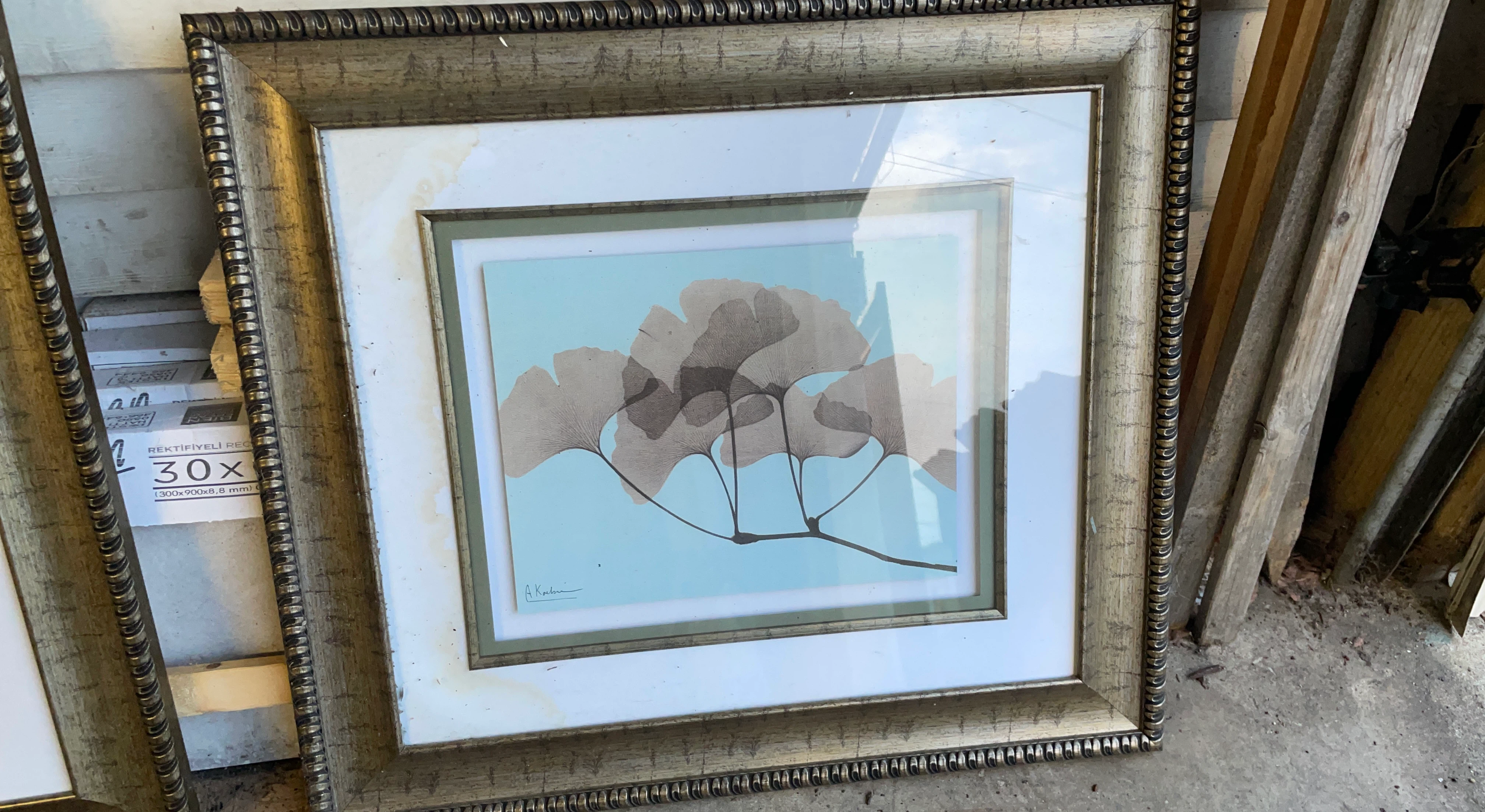 A. Koeber ginkgo leaf botanical art in gold frame