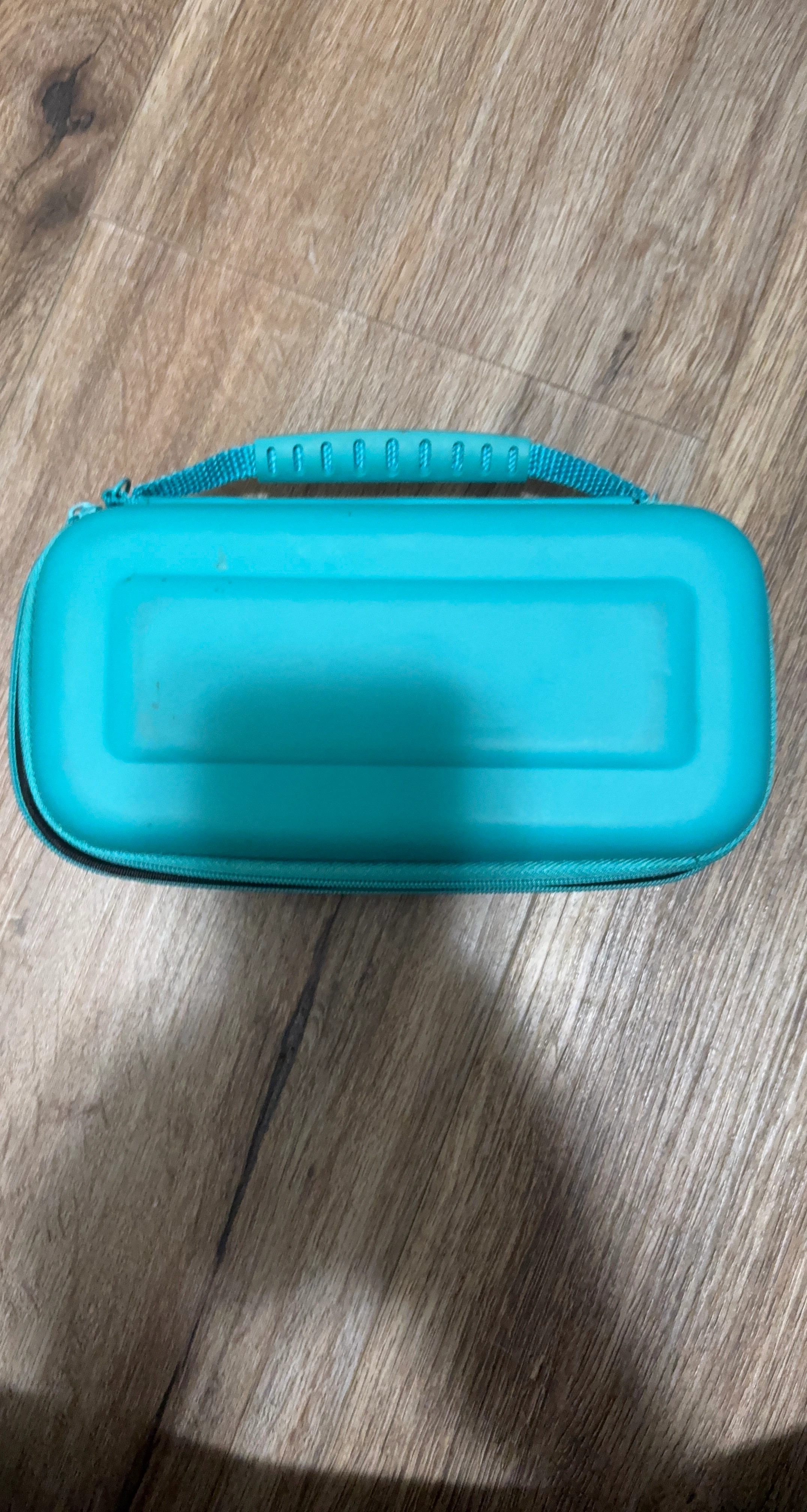 Nintendo lite case