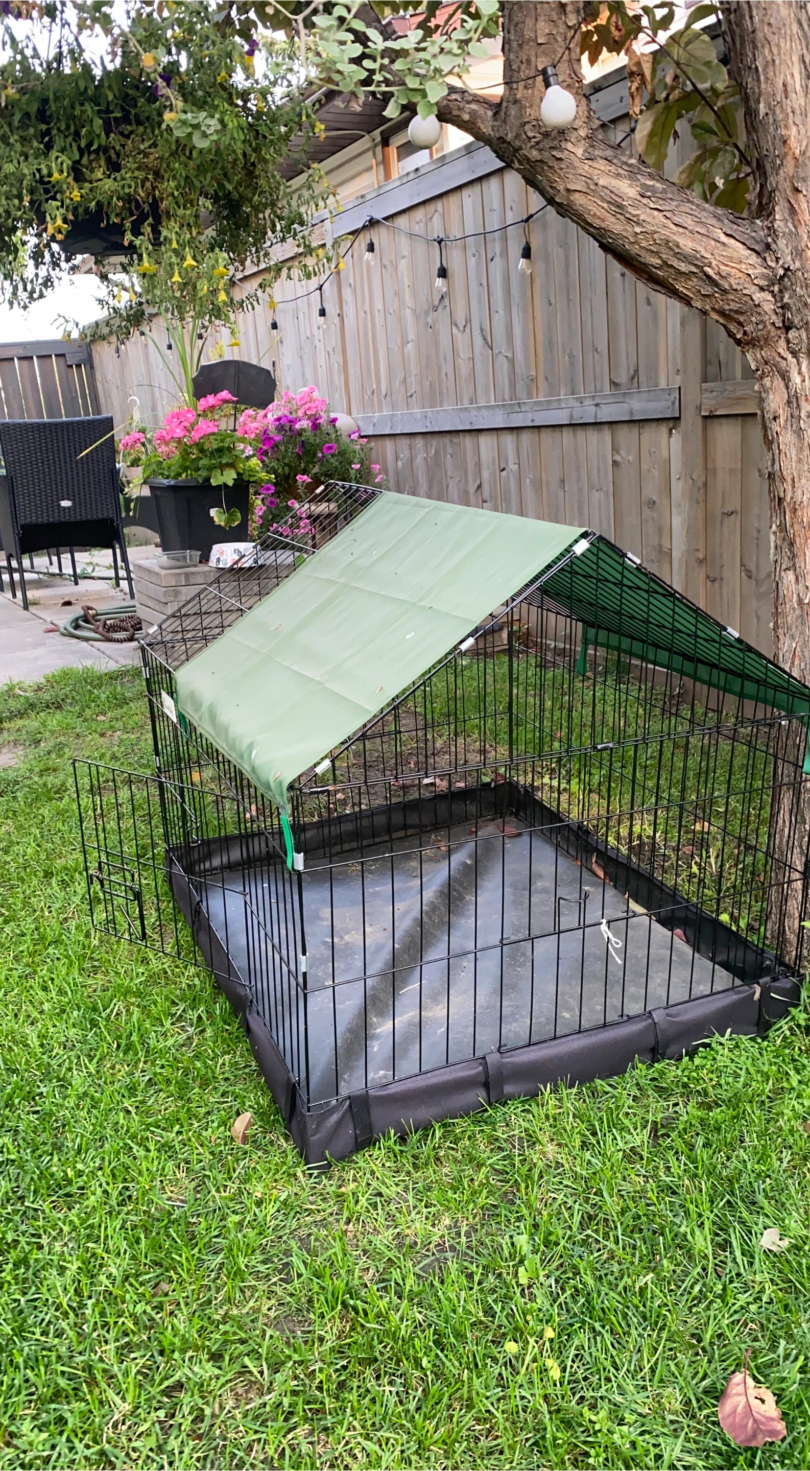 Pet Playpen with Green Cover