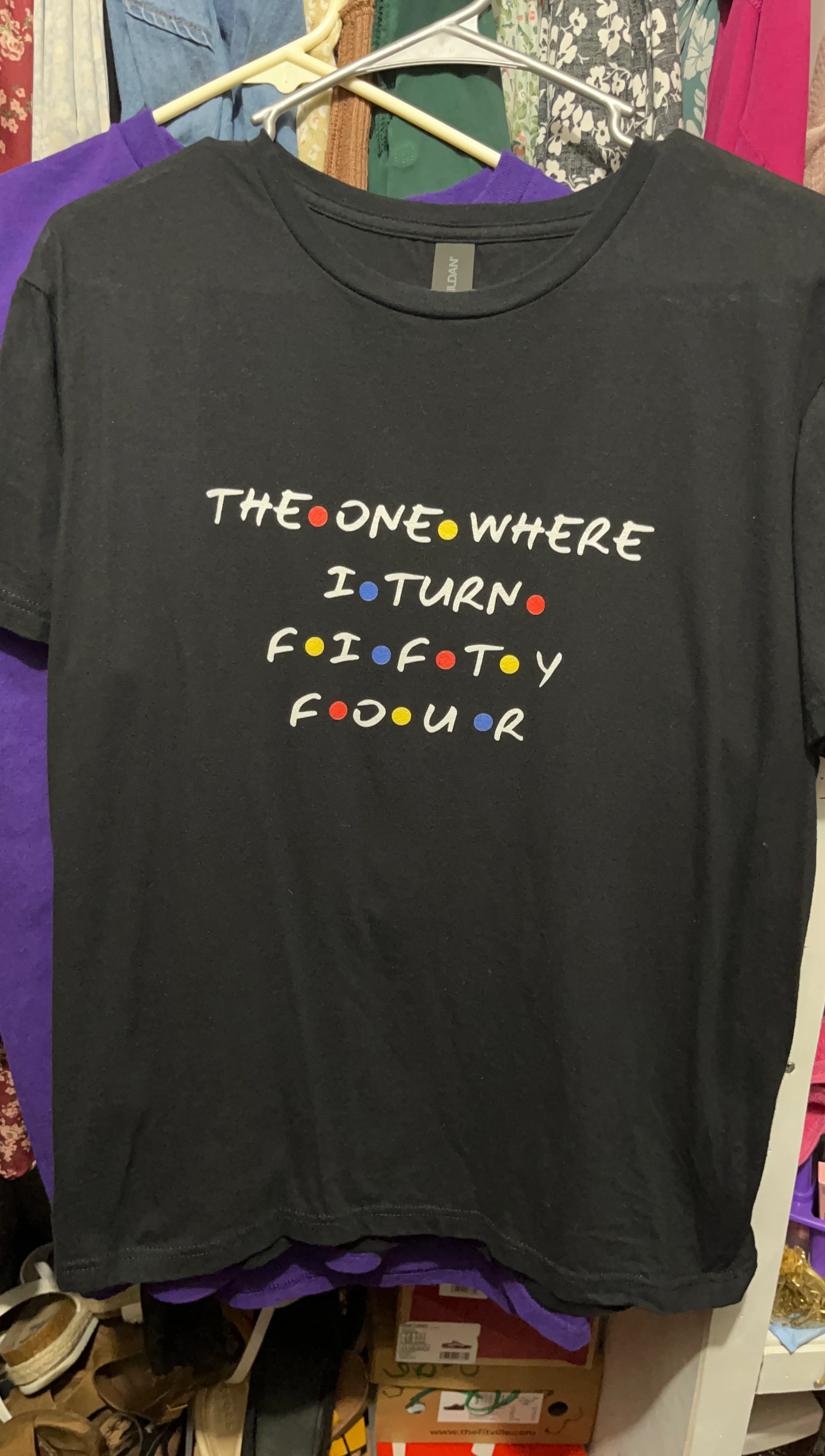 Black Gildan T-Shirt "The One Where I Turn Fifty Four"