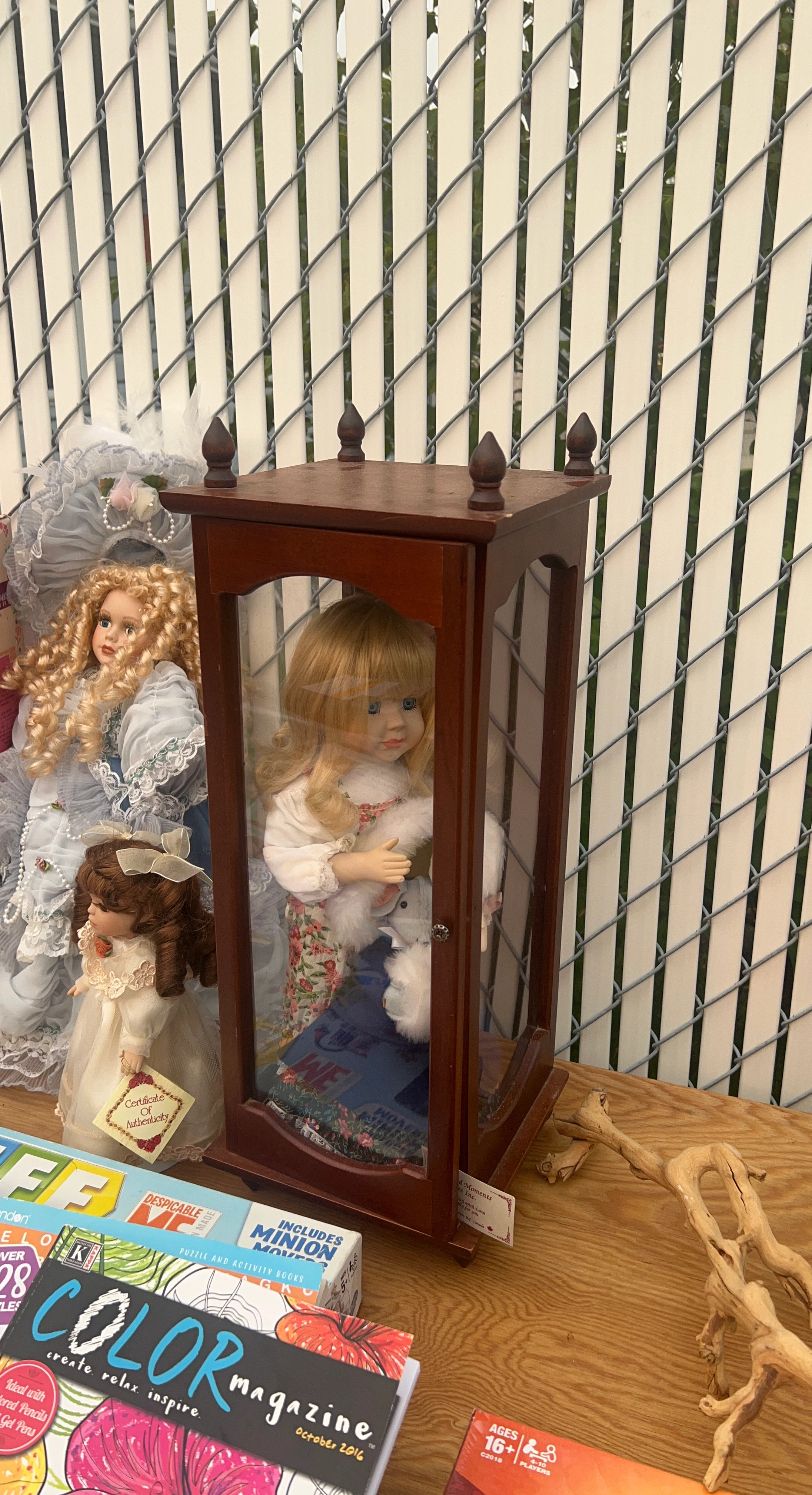 Collectible Porcelain Dolls in Display Case