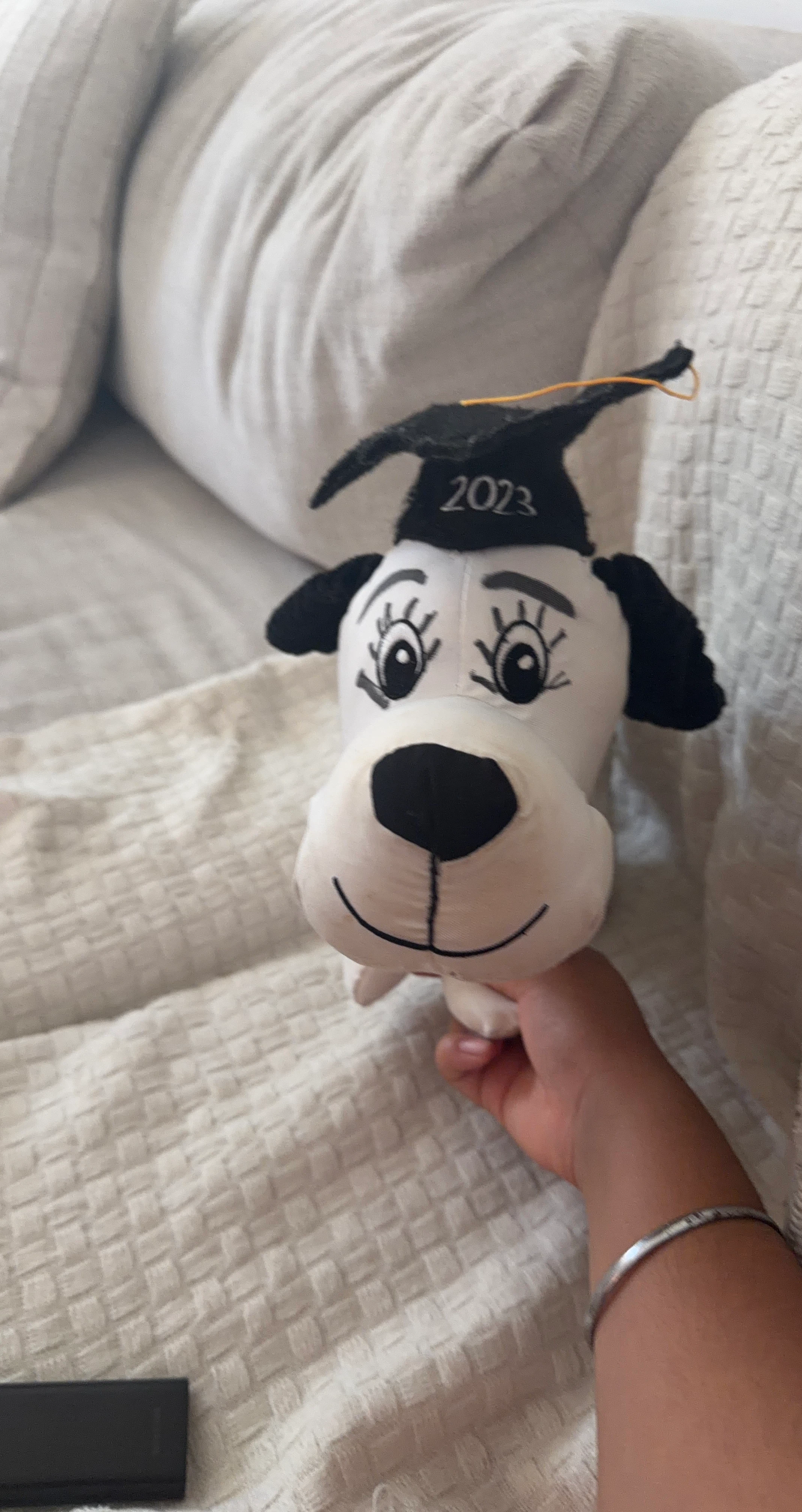 Plush Dog Graduation Toy 2023