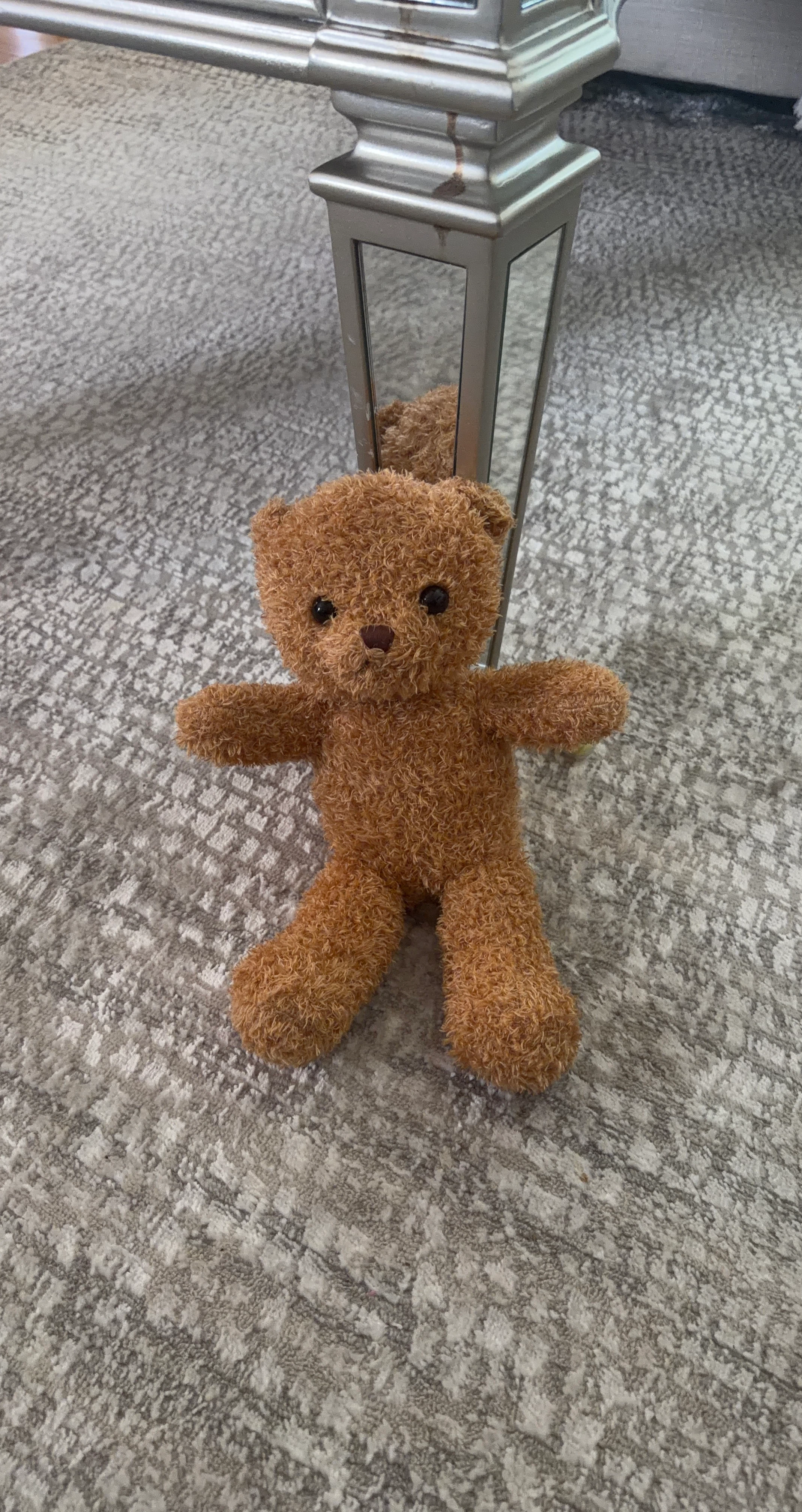 Plush Teddy Bear