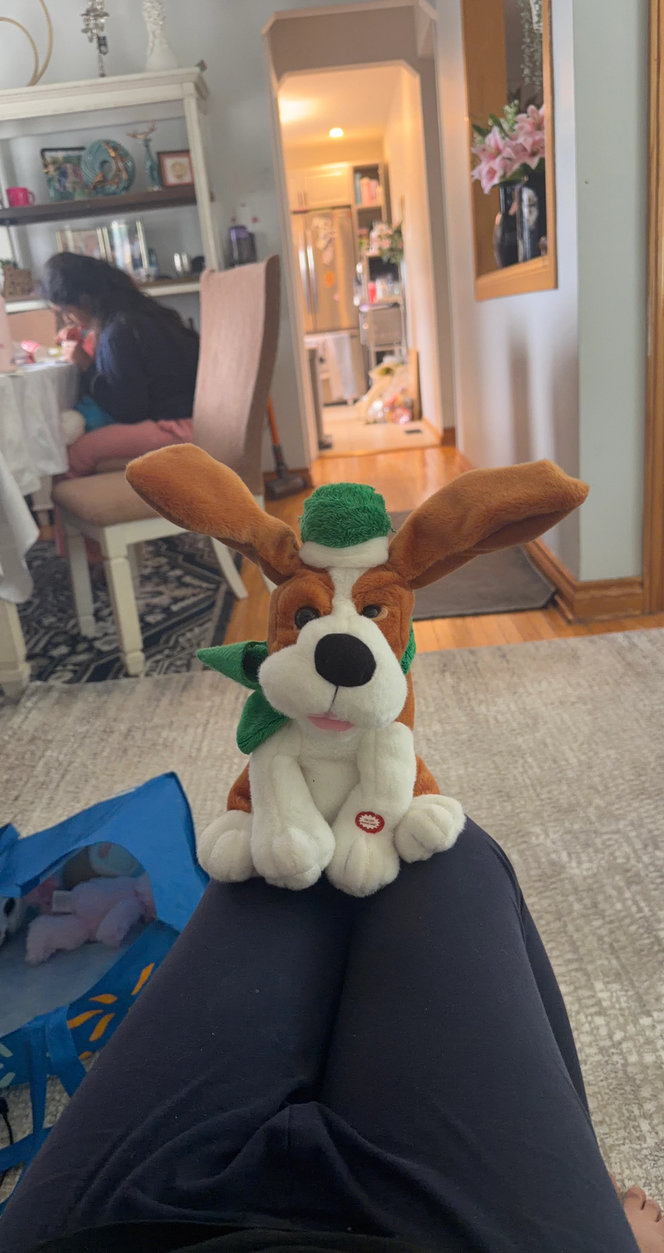 Animated Singing Dog Plush Toy