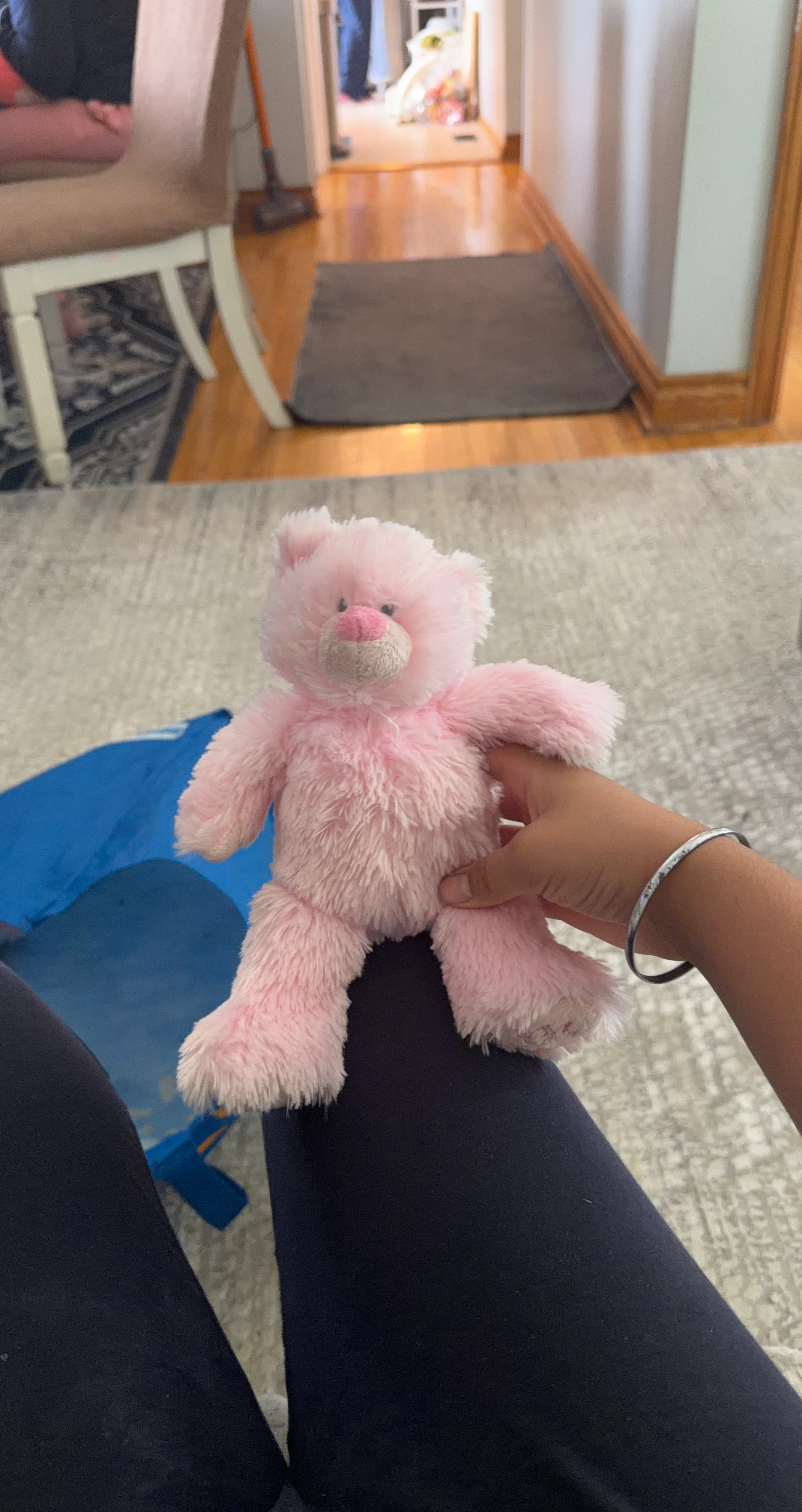 Pink Teddy Bear Plush Toy