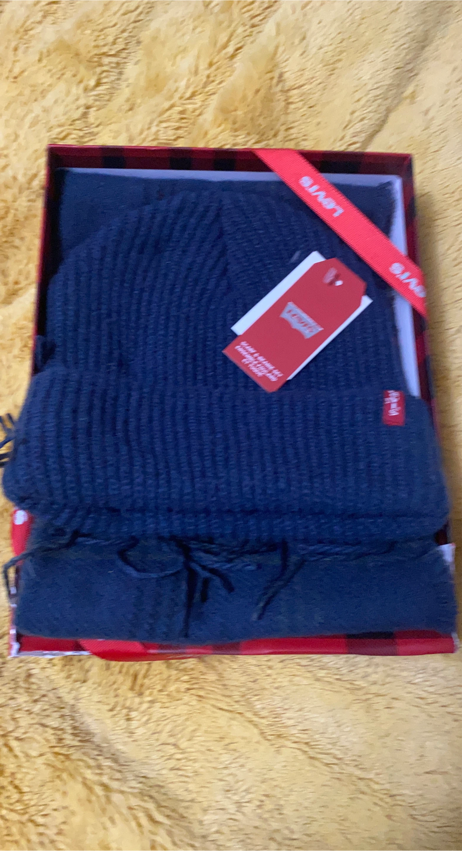 Levi's Beanie and Scarf Set