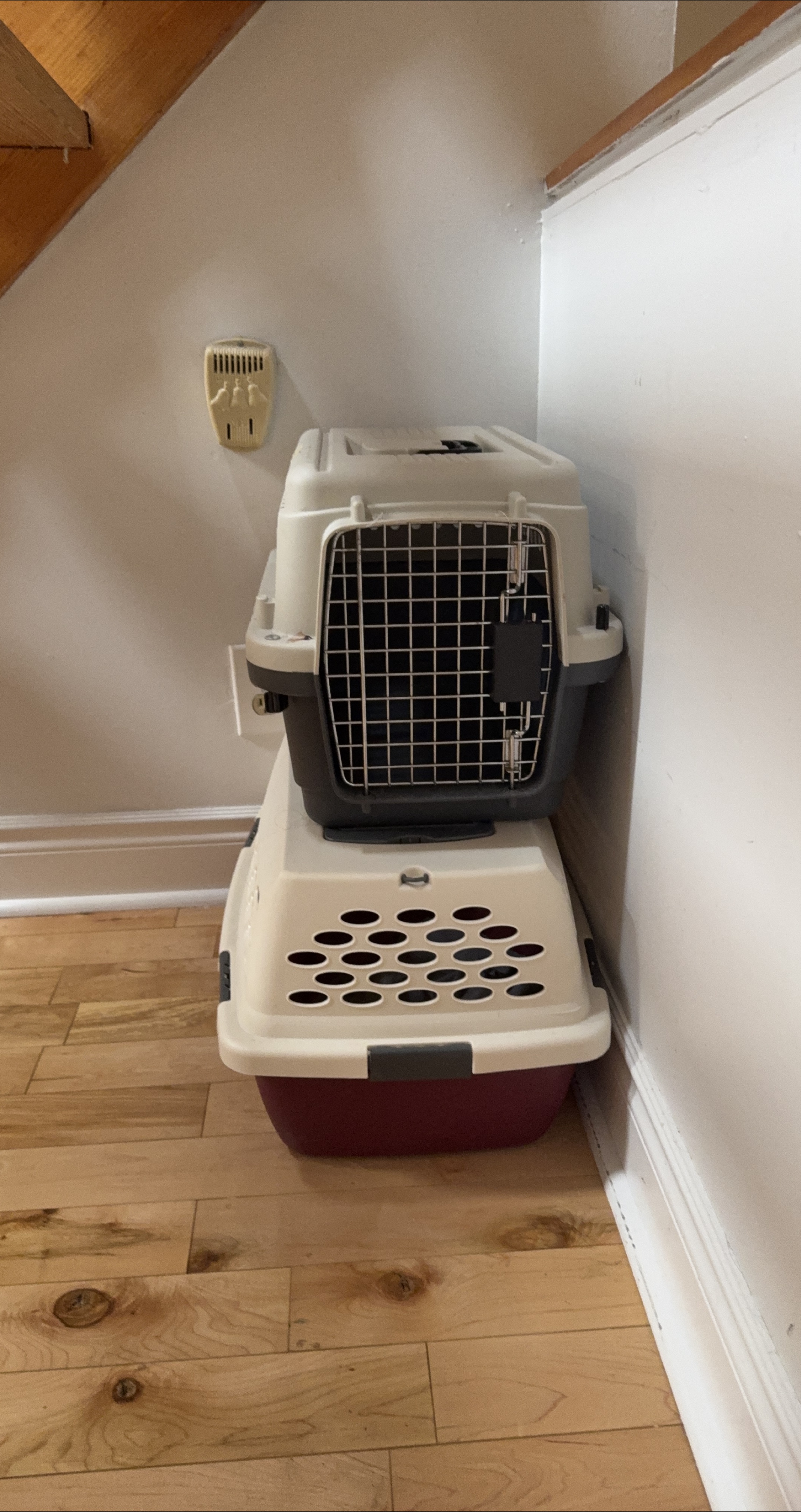 Two-tone pet carrier with metal gate